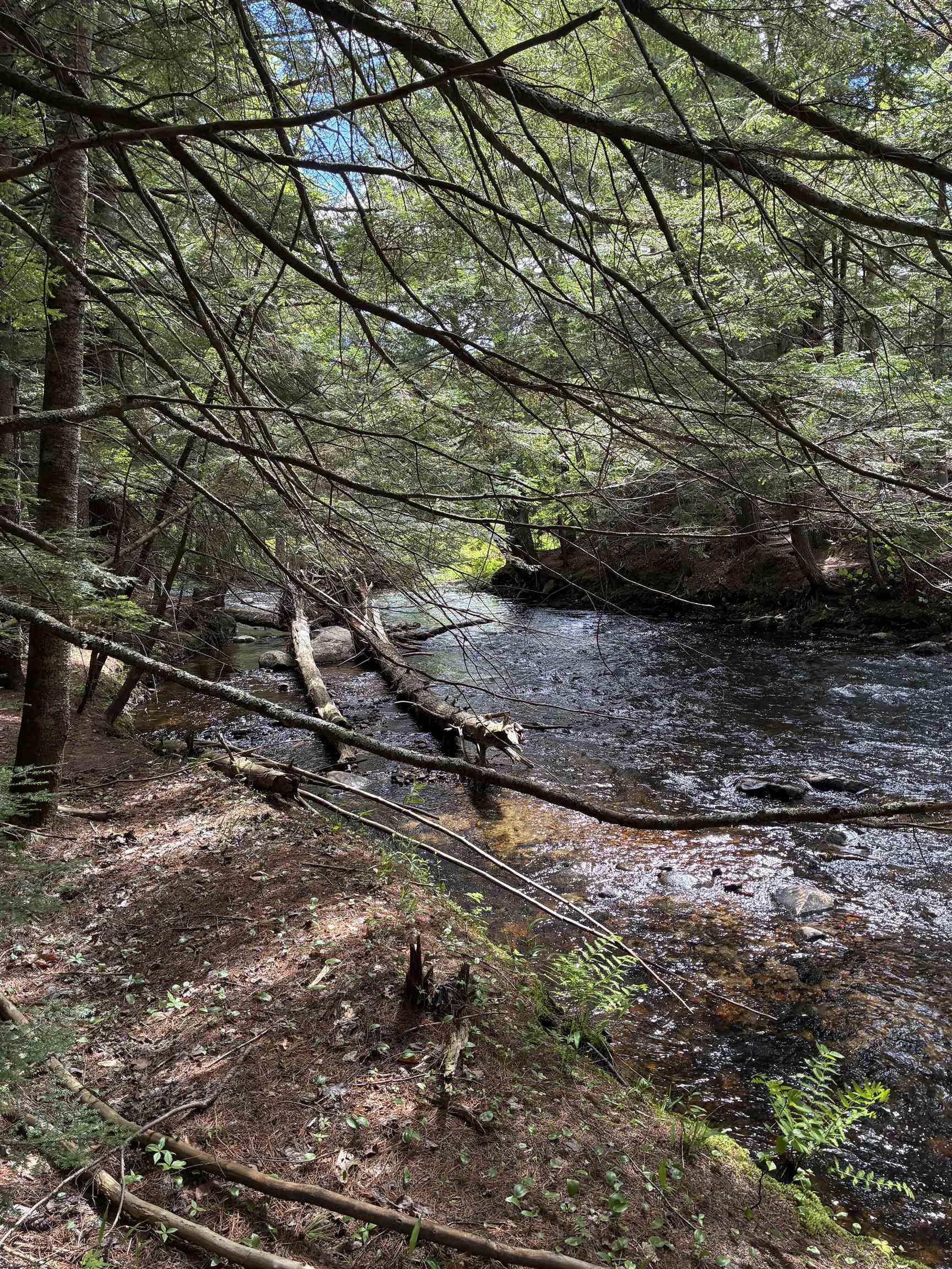 Grafton Turnpike Rd, Canaan, NH 03741