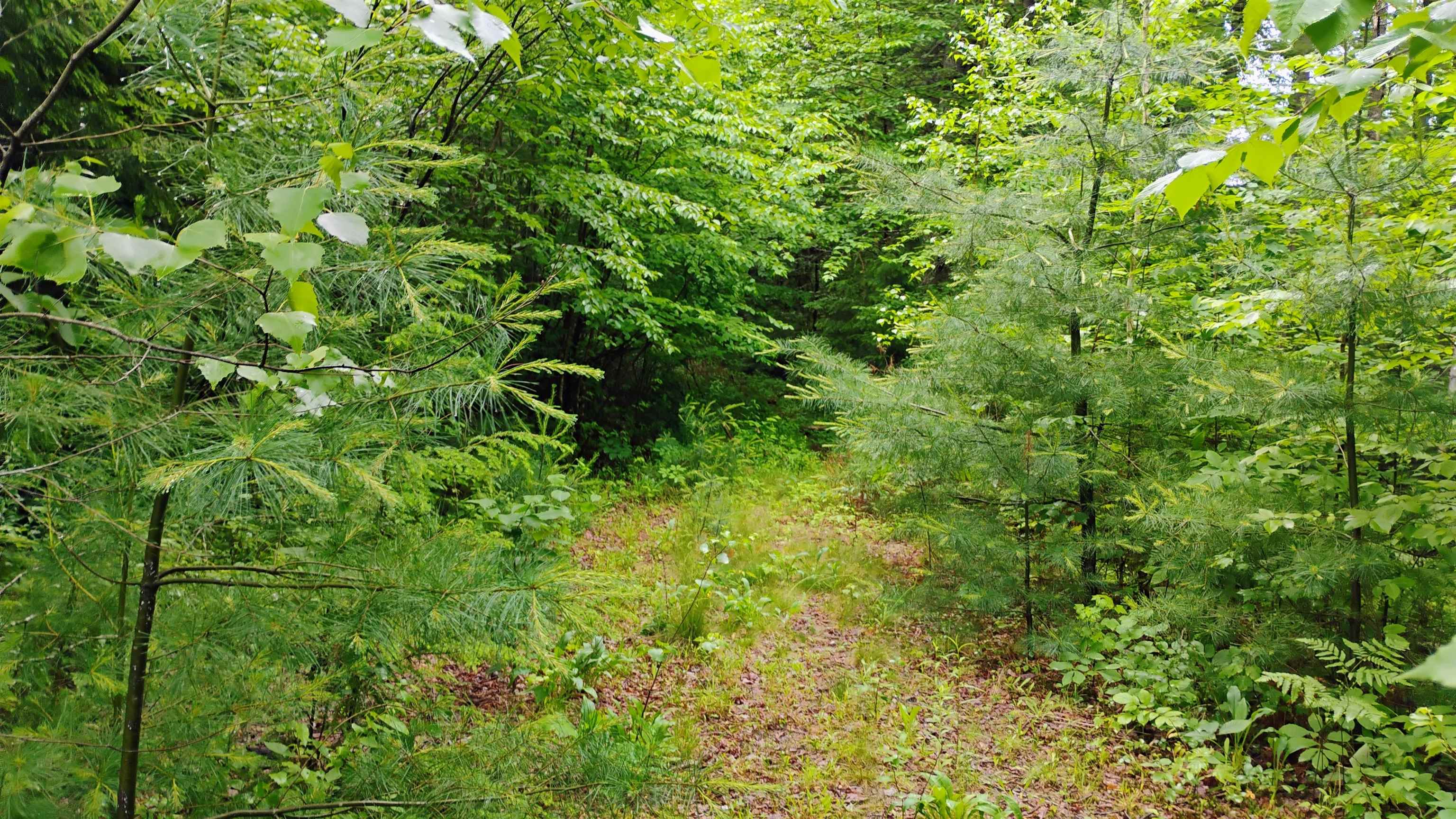 Grafton Turnpike Rd, Canaan, NH 03741