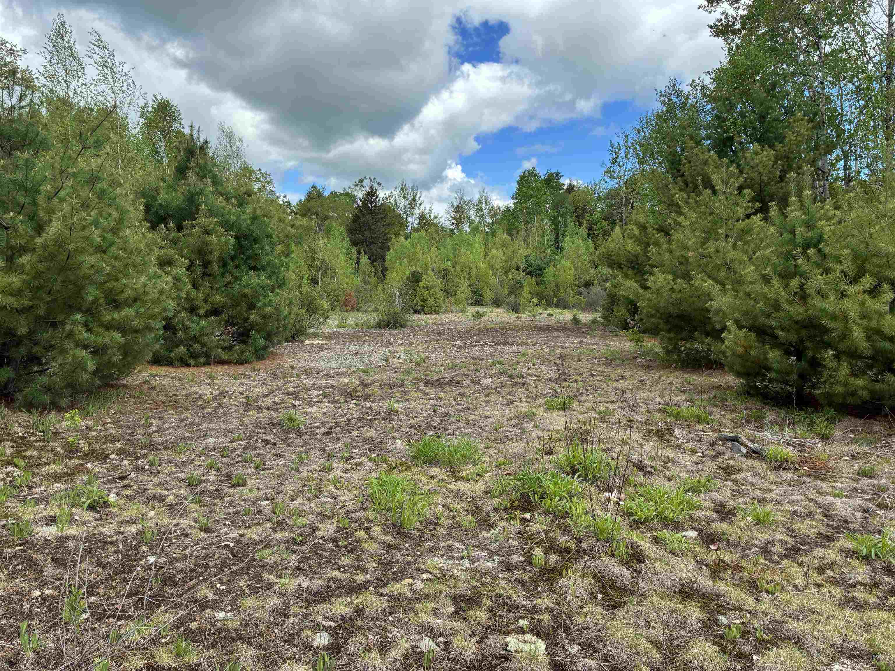 Grafton Turnpike Rd, Canaan, NH 03741