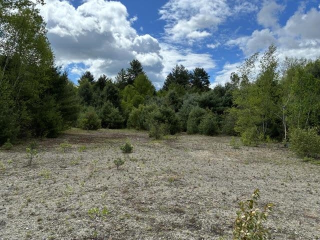 Open Area 25398348
