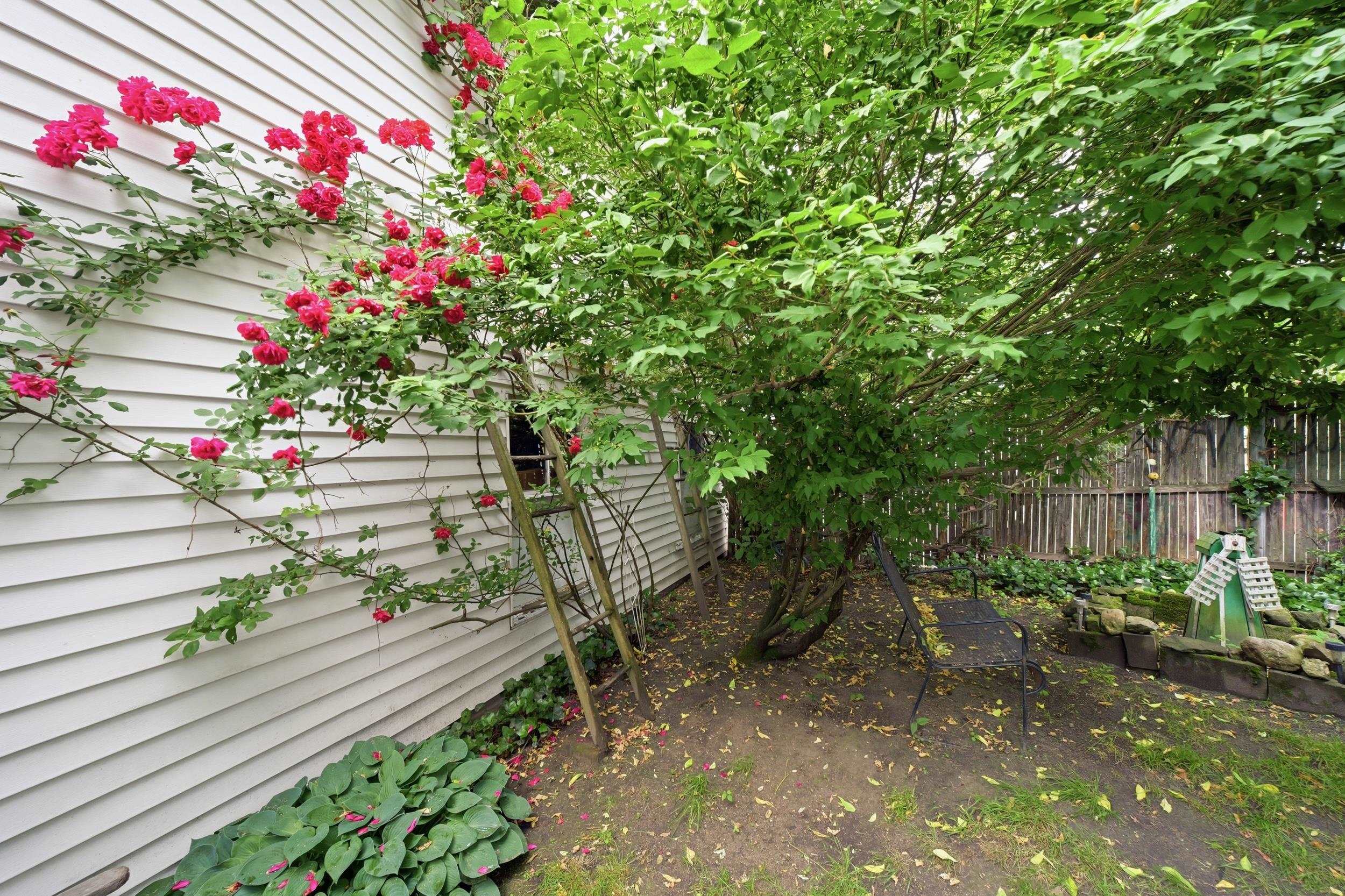 Photo 29 of 30