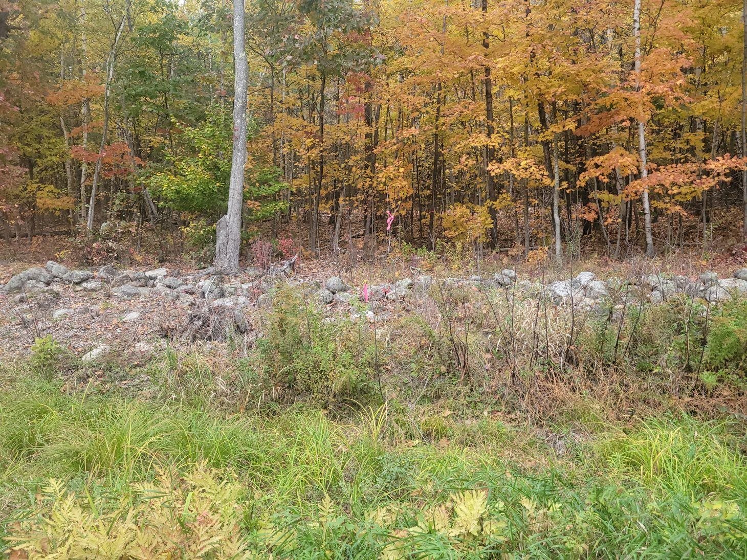 Lot 30-2-1 North Rd, Barnstead, NH 03225
