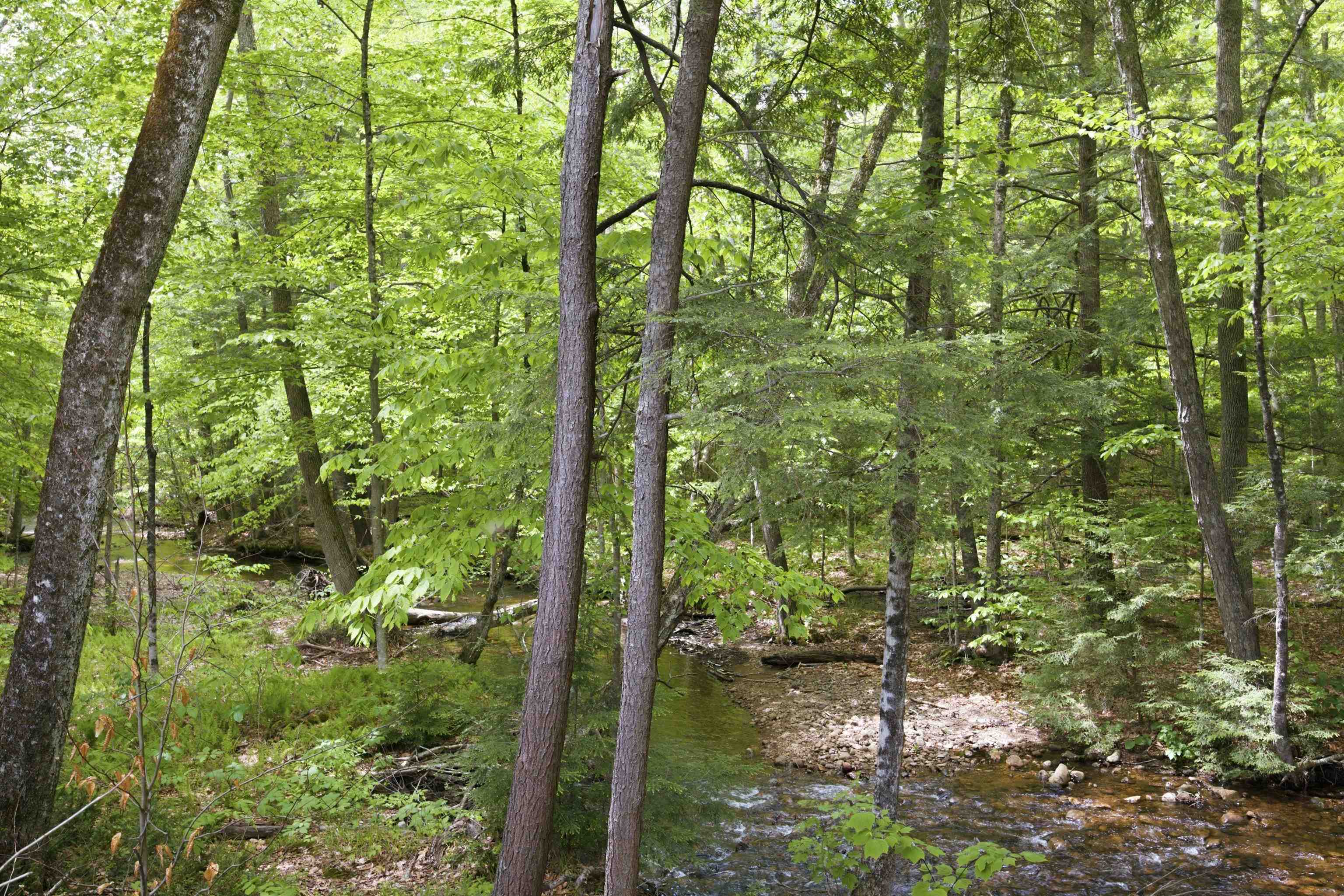 9 Notchview Ln #16, Lincoln, NH 03251