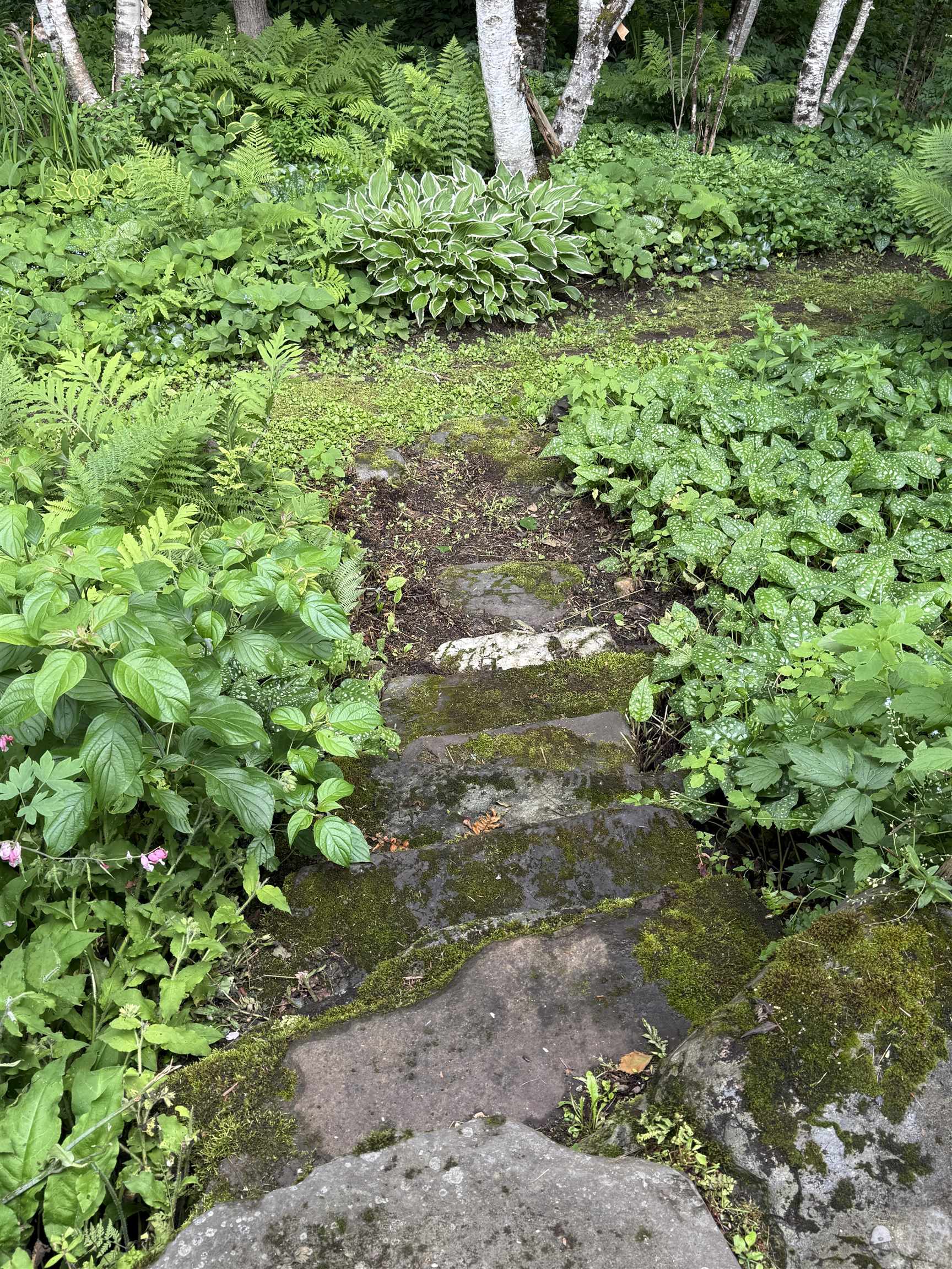 Property photo 43