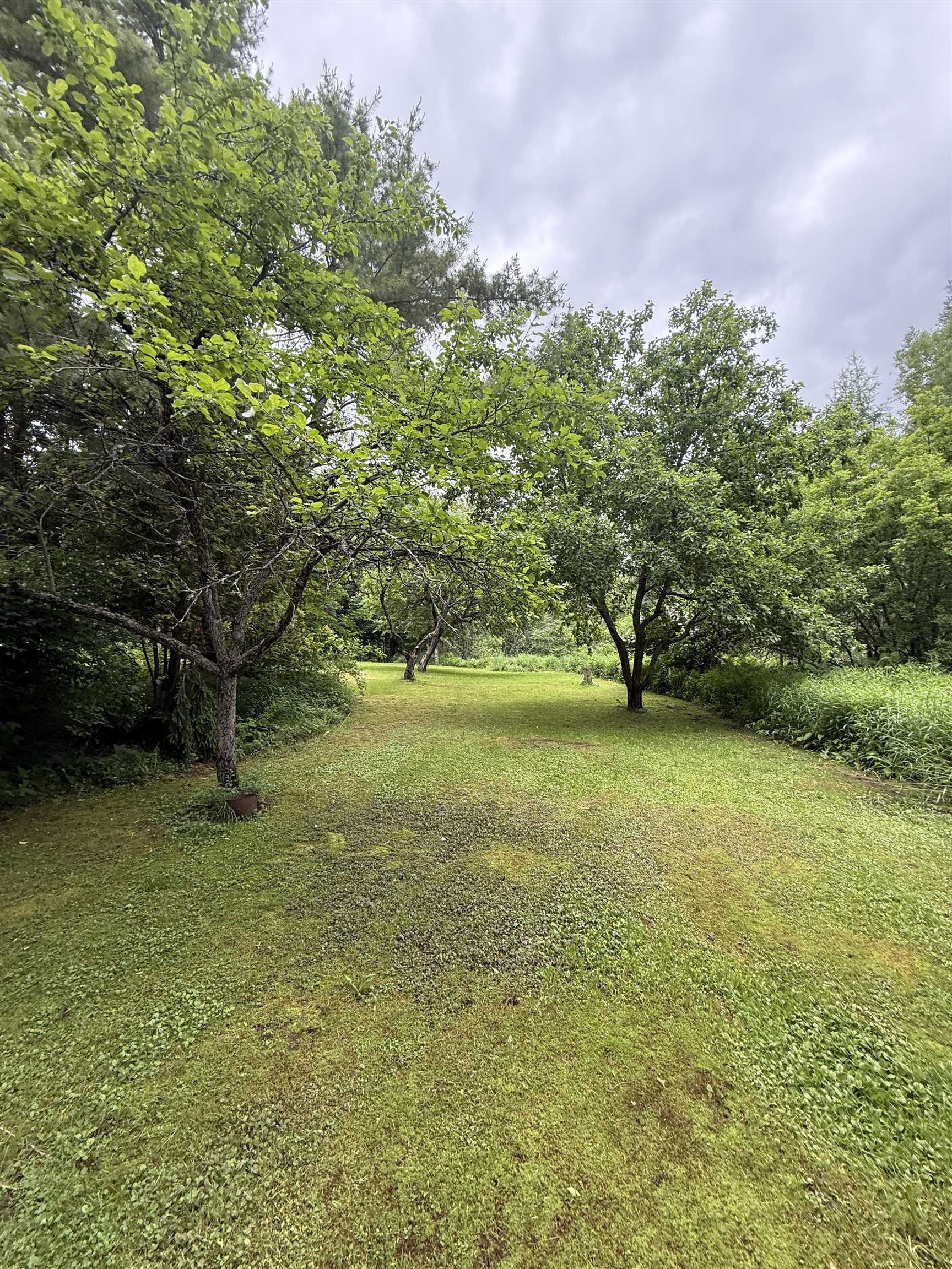 Property photo 44