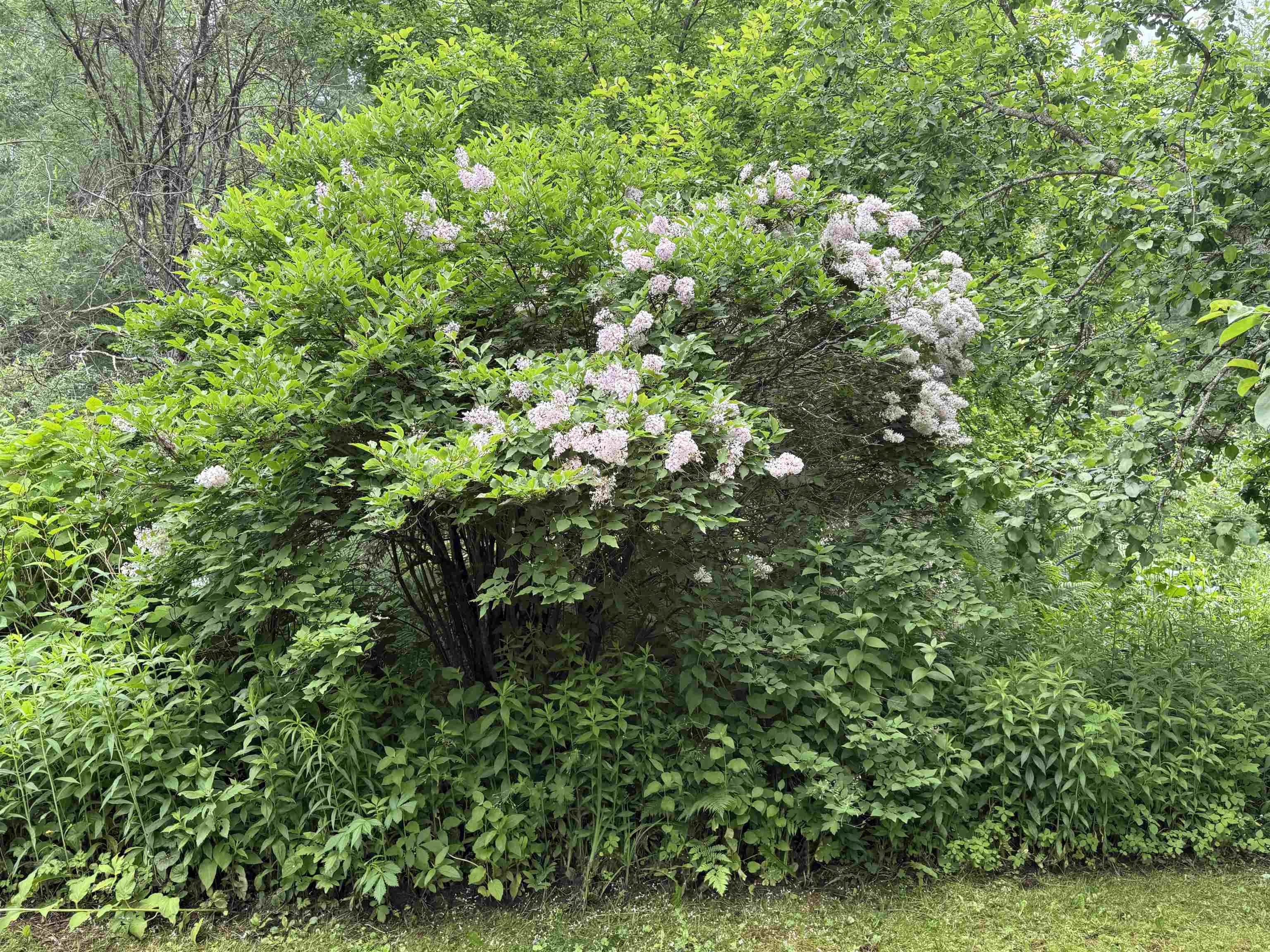 Property photo 45