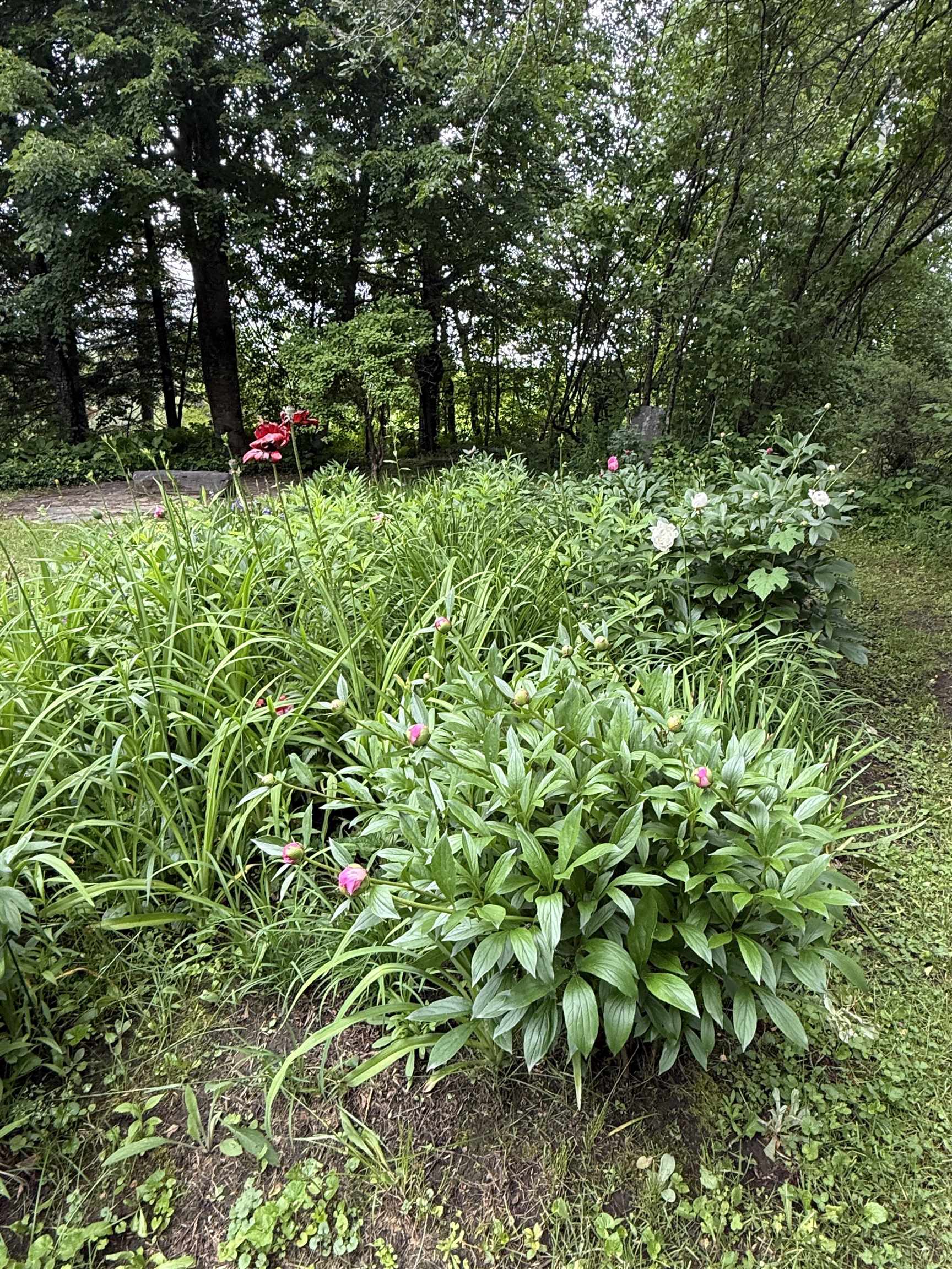 Property photo 48