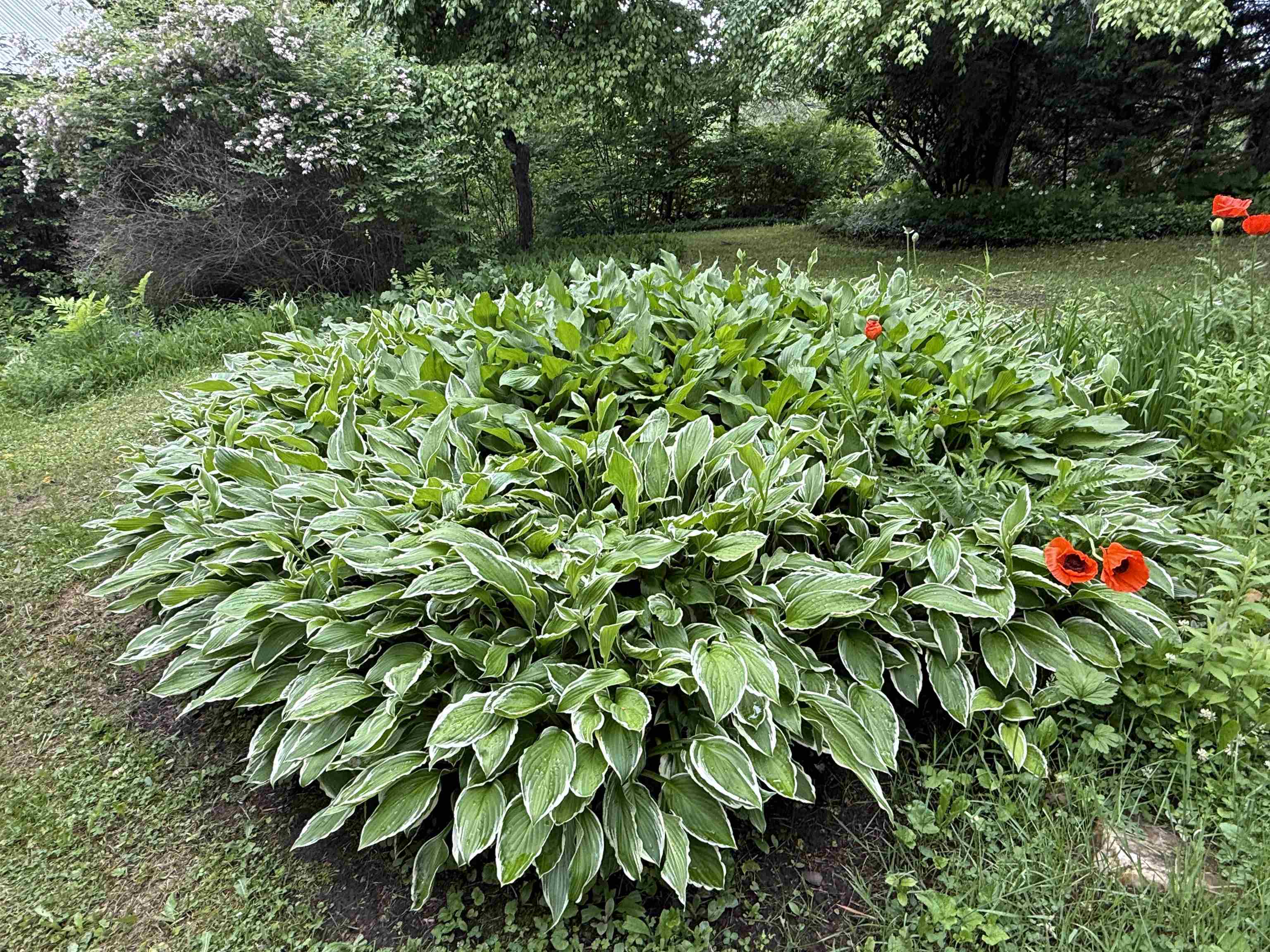 Property photo 49