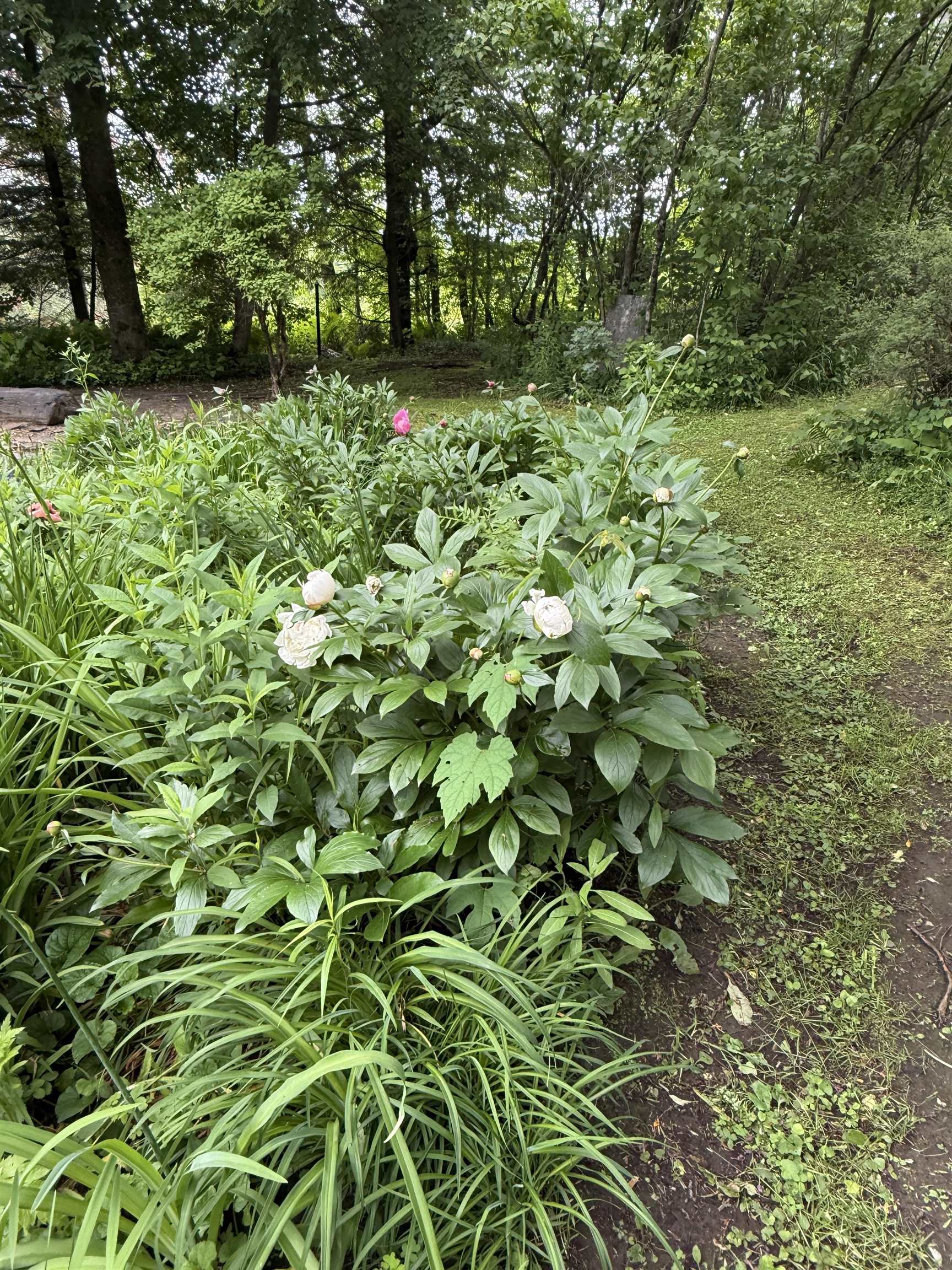 Property photo 50