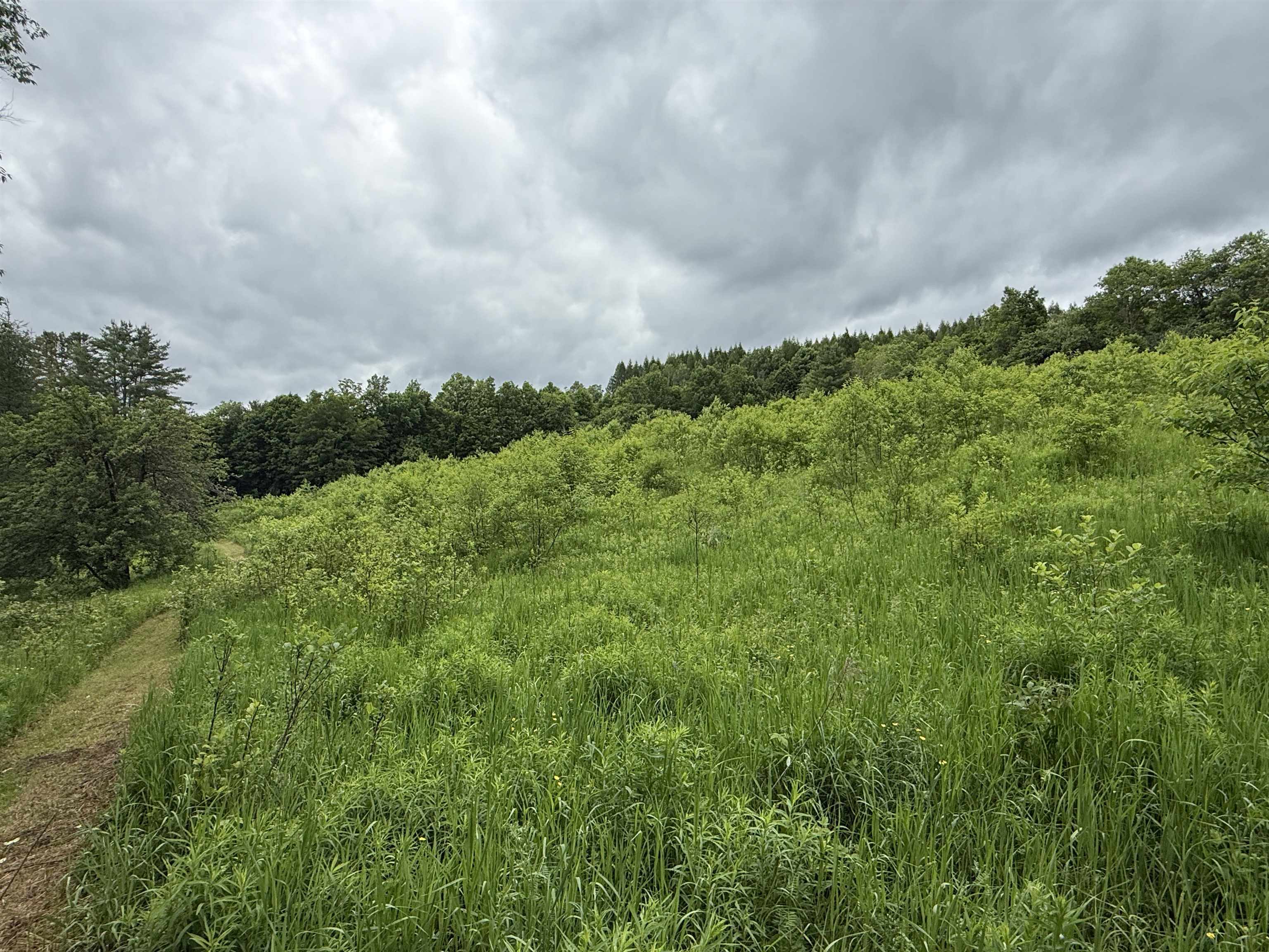 Property photo 52