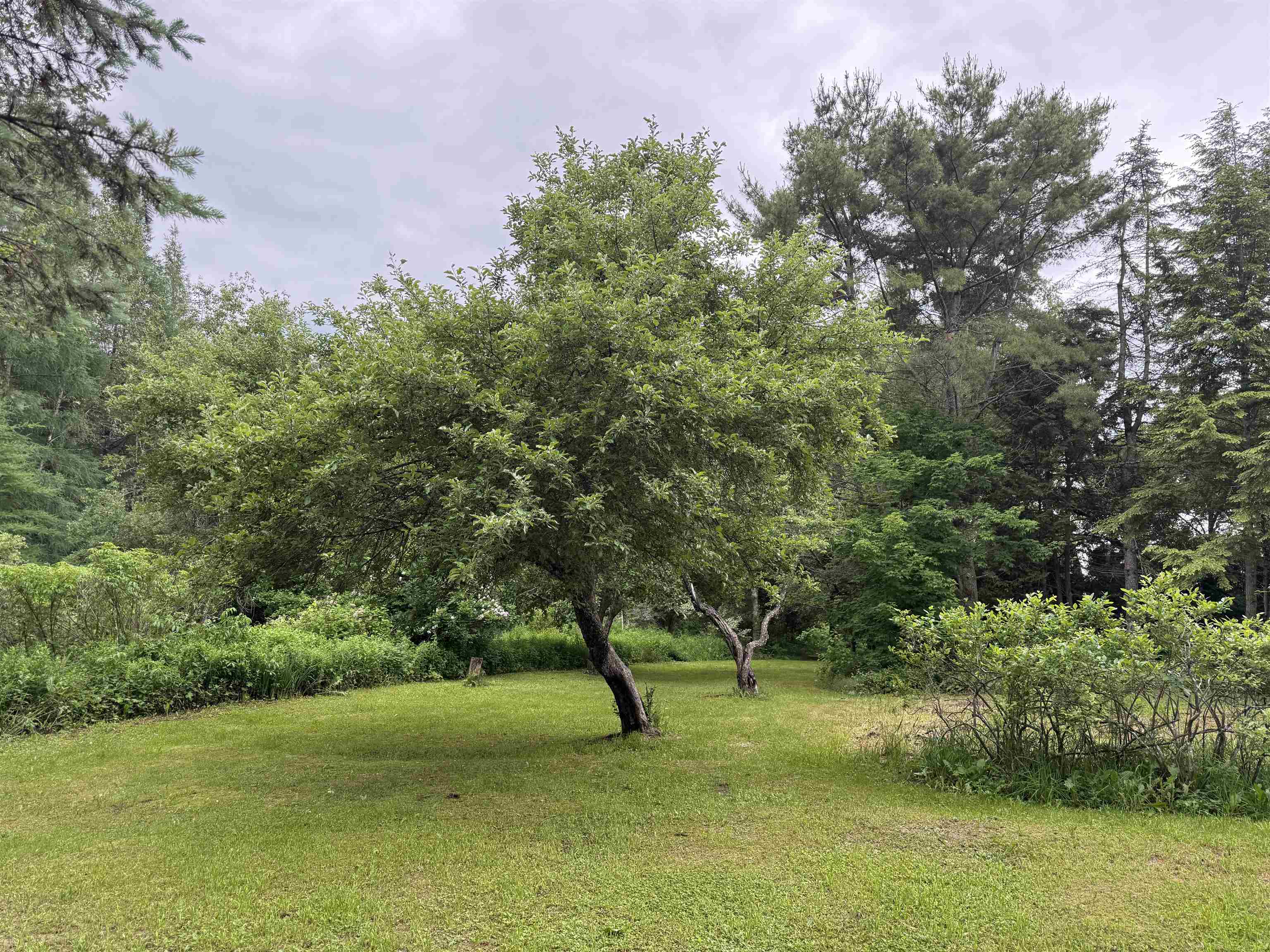 Property photo 53