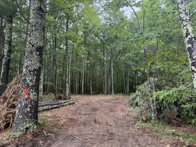 120 Rounala Rd, Milford, NH 03055
