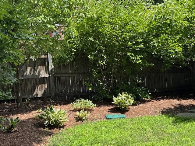 Photo 22 of 25