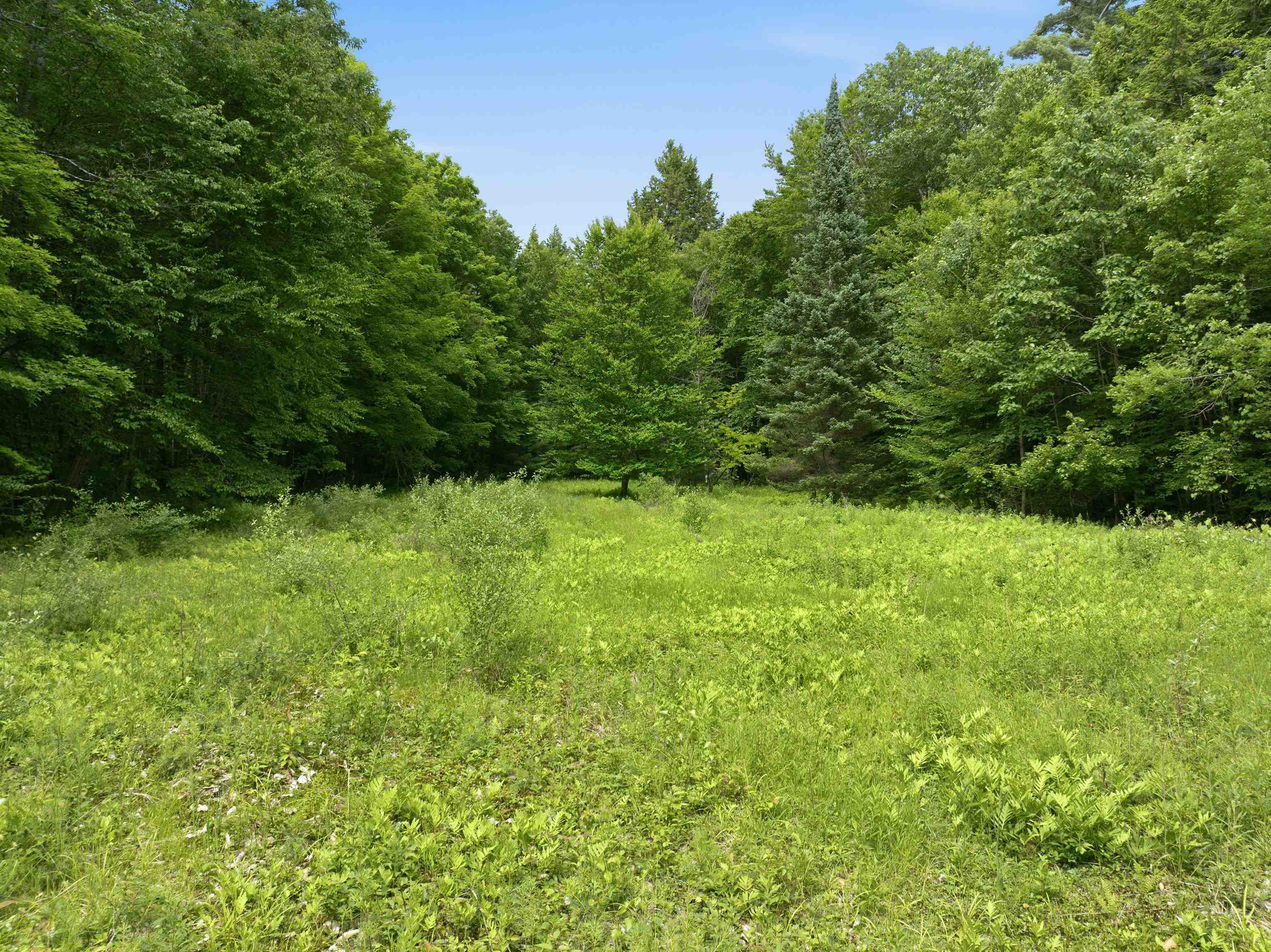 125 Lee Rd, Moultonborough, NH 03254