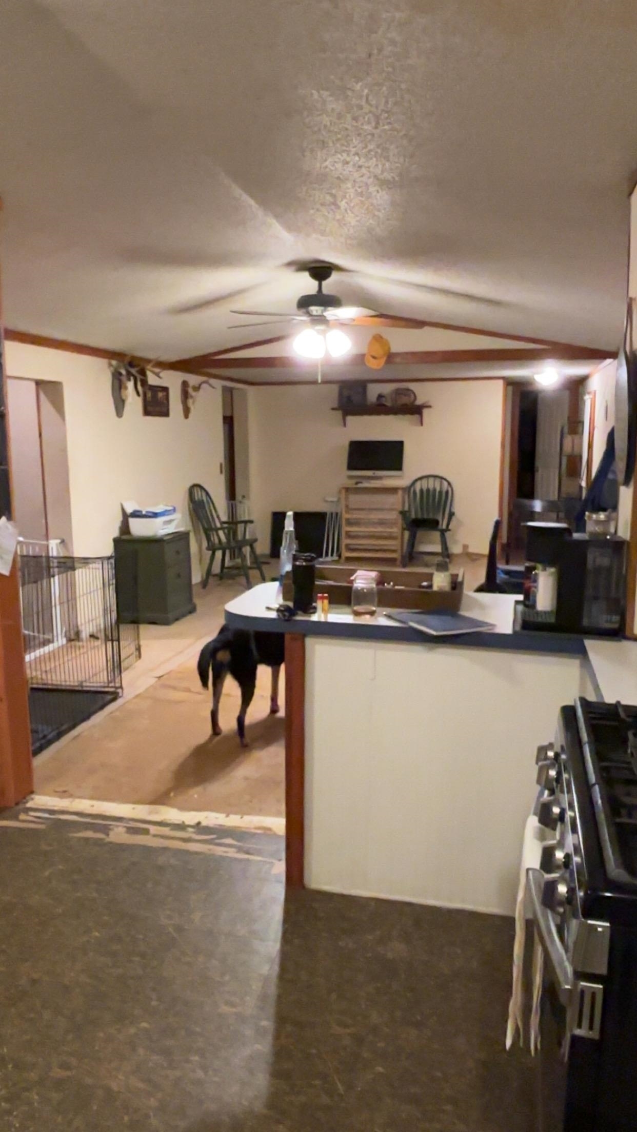 47 Gray Rd, Barnstead, NH 03218