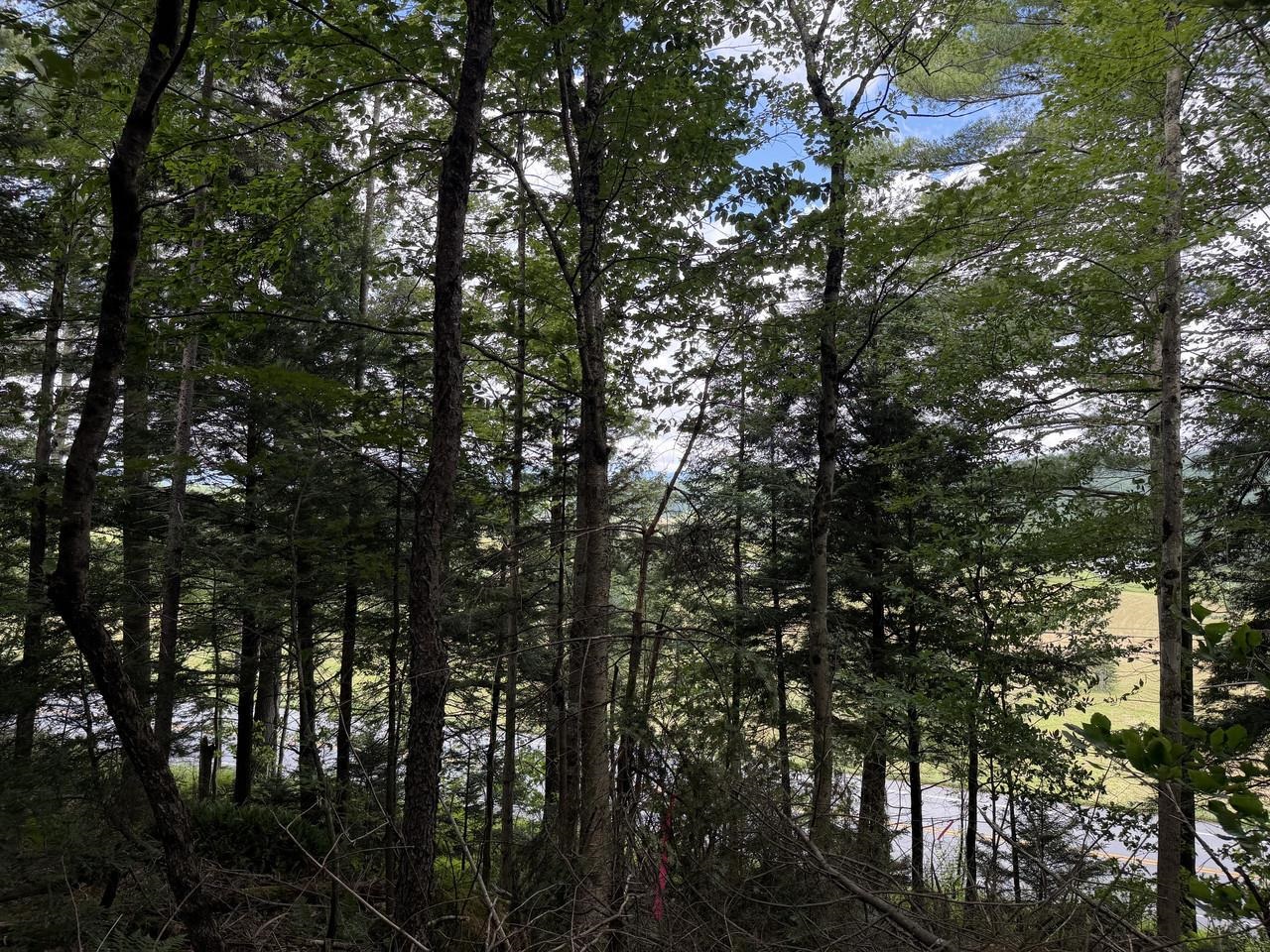 20th image of Tbd Sholan Rd, Morrisville, VT 05661 | MLS# 5096254