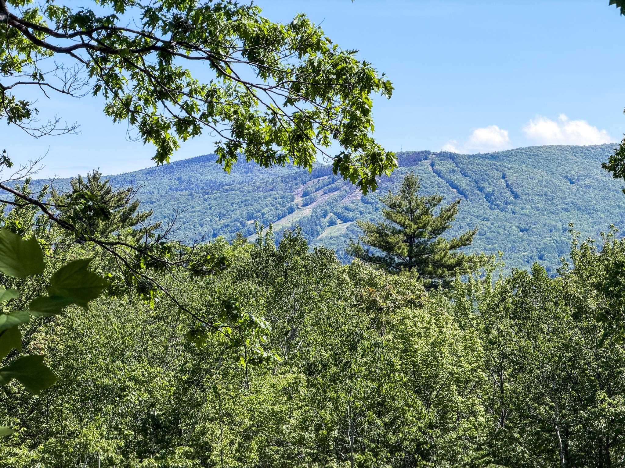 236 Birch Hill Rd, Conway, NH 03860