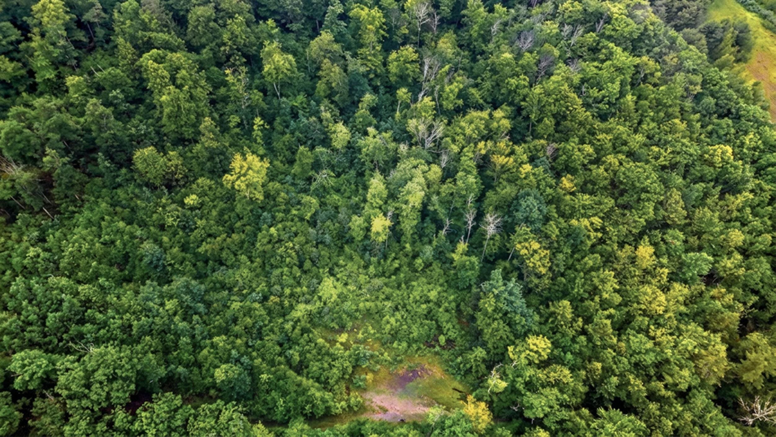 00 Hurricane Rd, Westmoreland, NH 03467