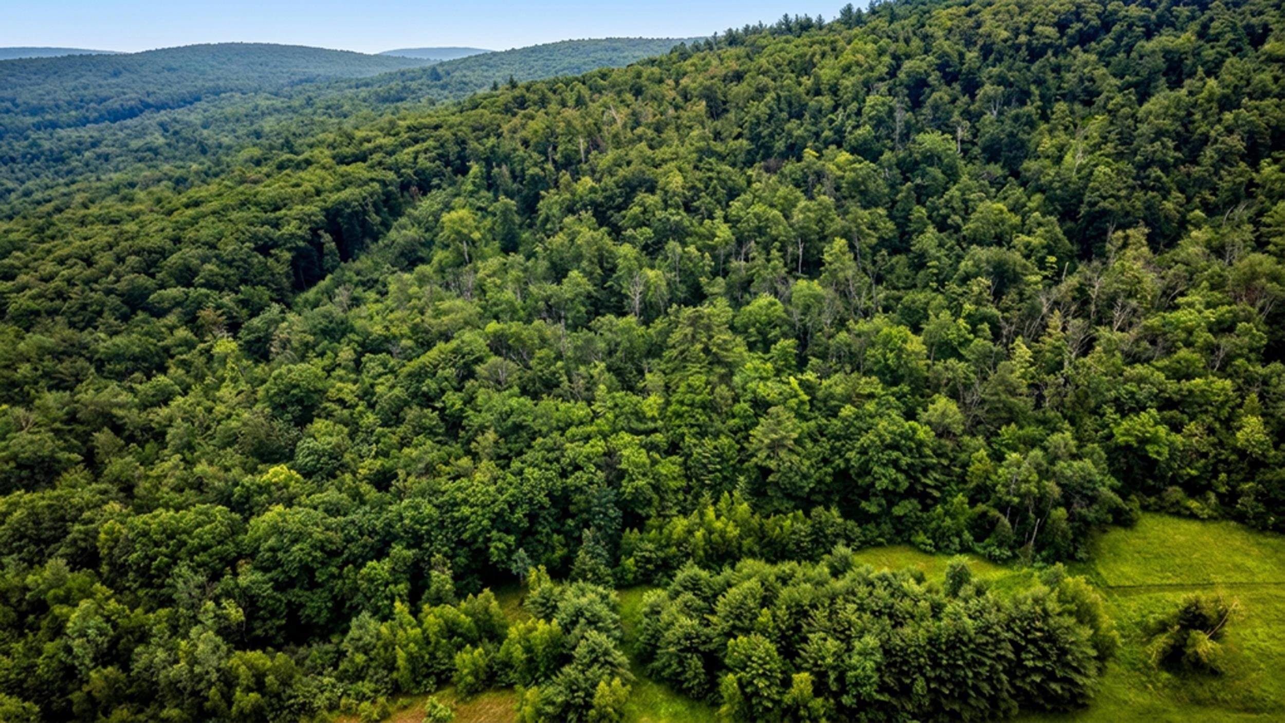 00 Hurricane Rd, Westmoreland, NH 03467