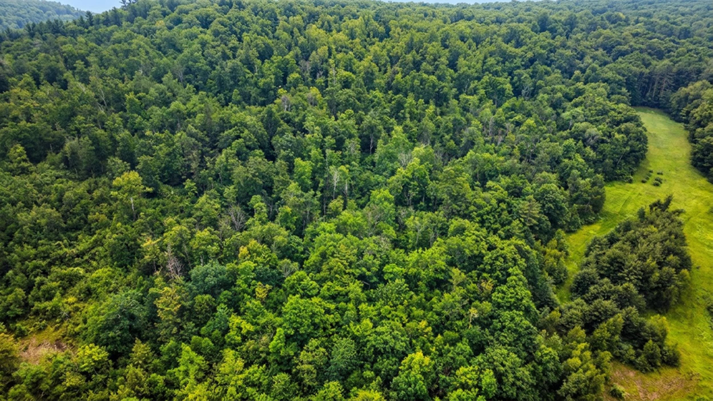 00 Hurricane Rd, Westmoreland, NH 03467