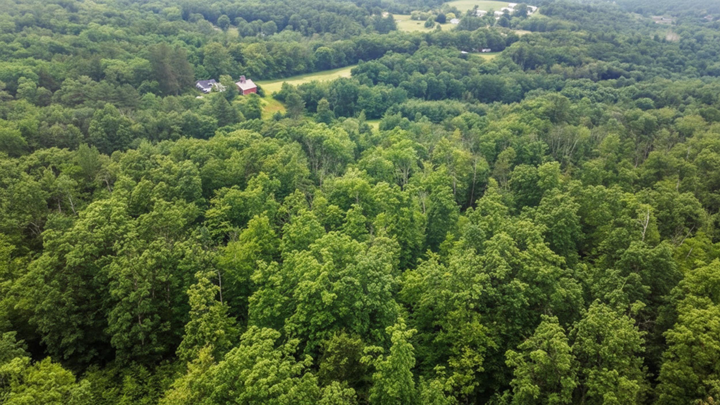 00 Hurricane Rd, Westmoreland, NH 03467