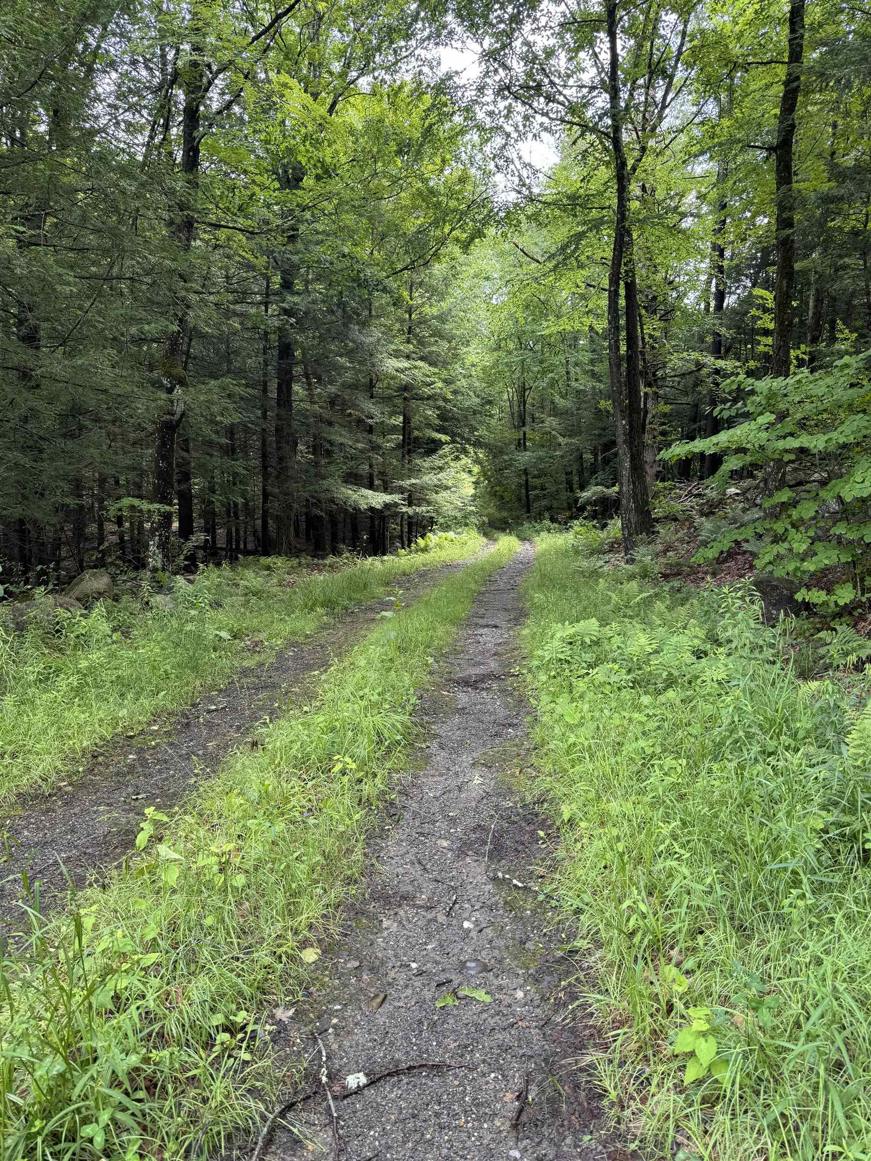 Discontinued Road (easement)