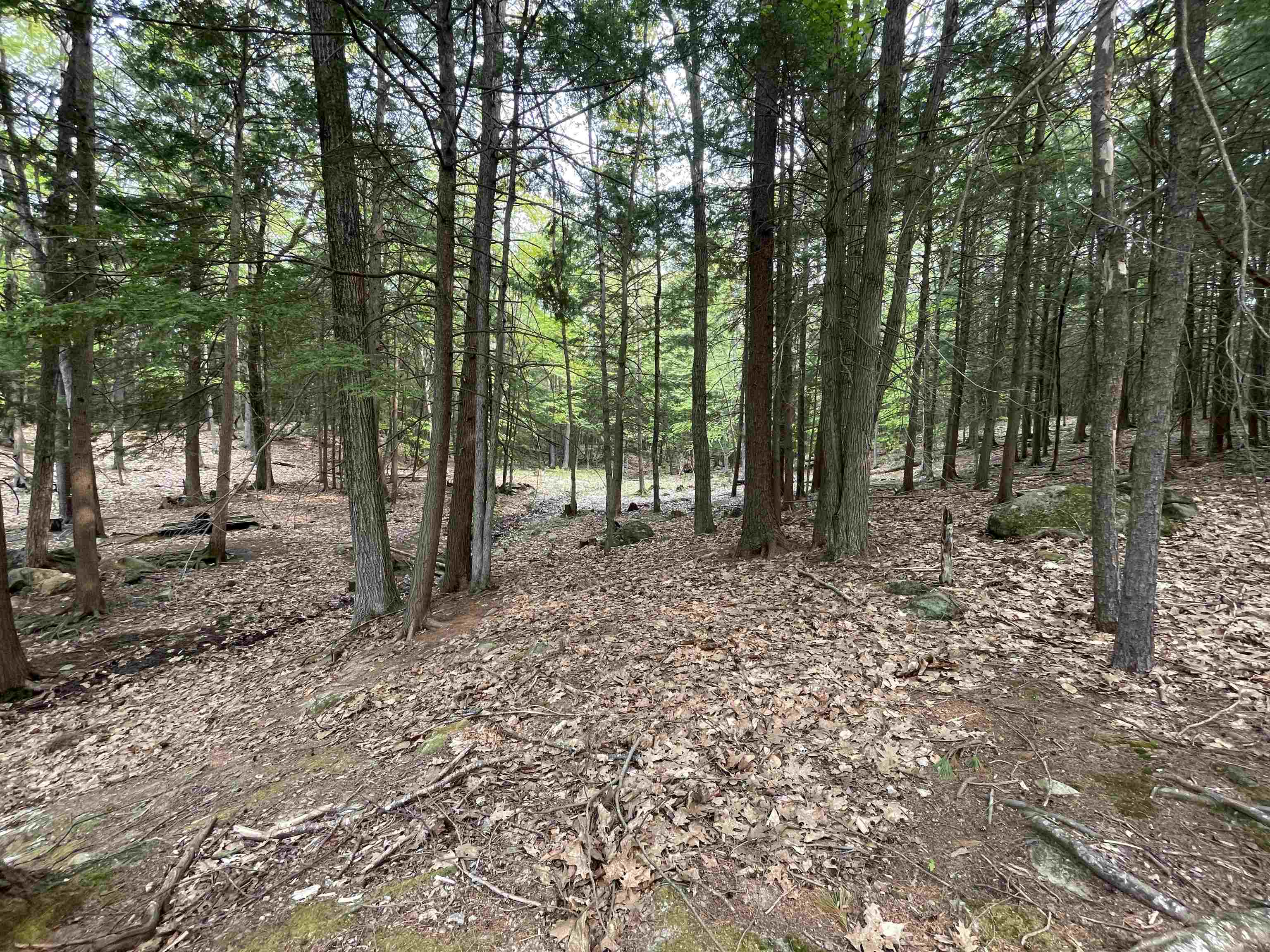 Durrell Mountain Rd, Belmont, NH 03220