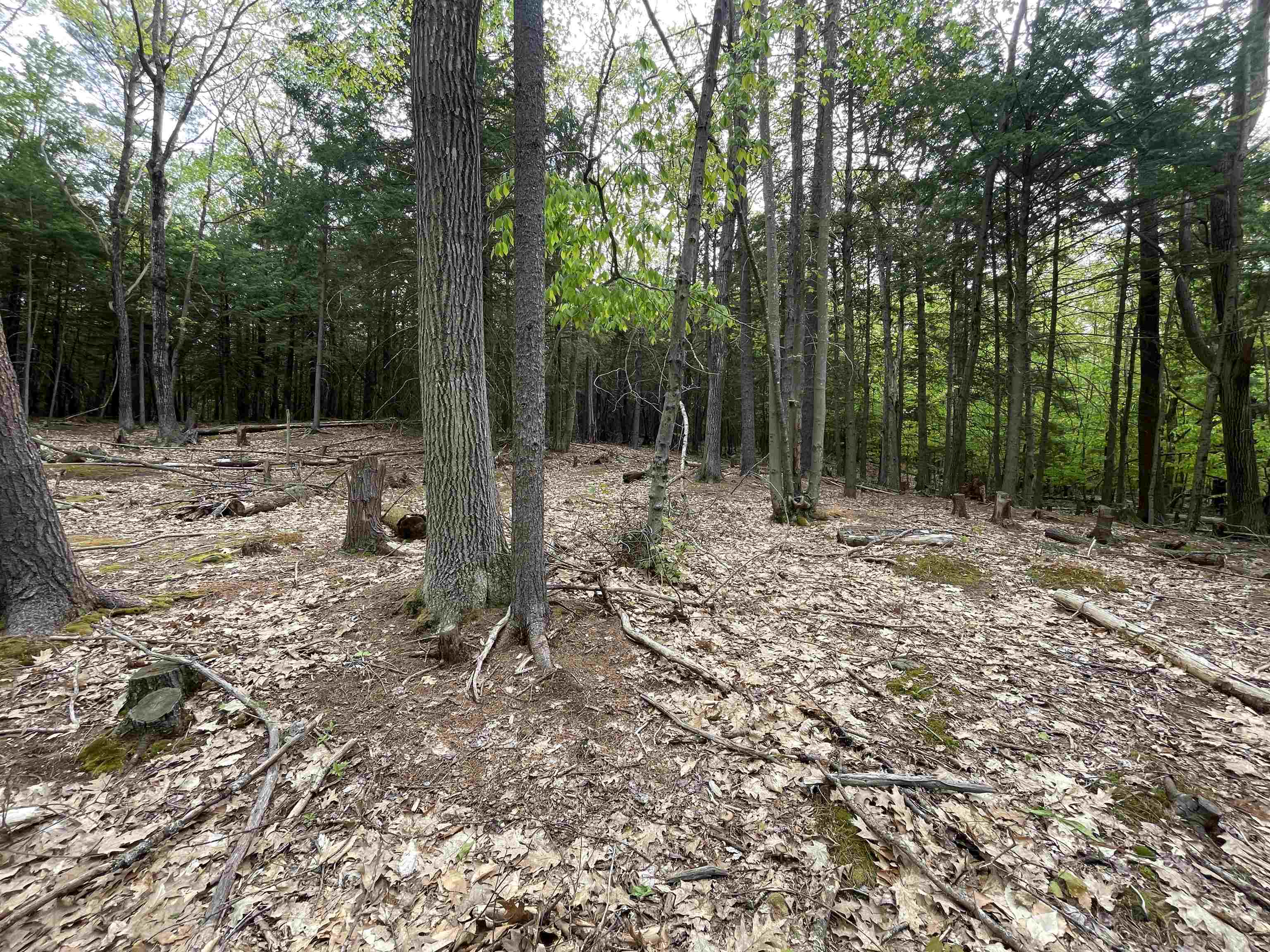 Durrell Mountain Rd, Belmont, NH 03220