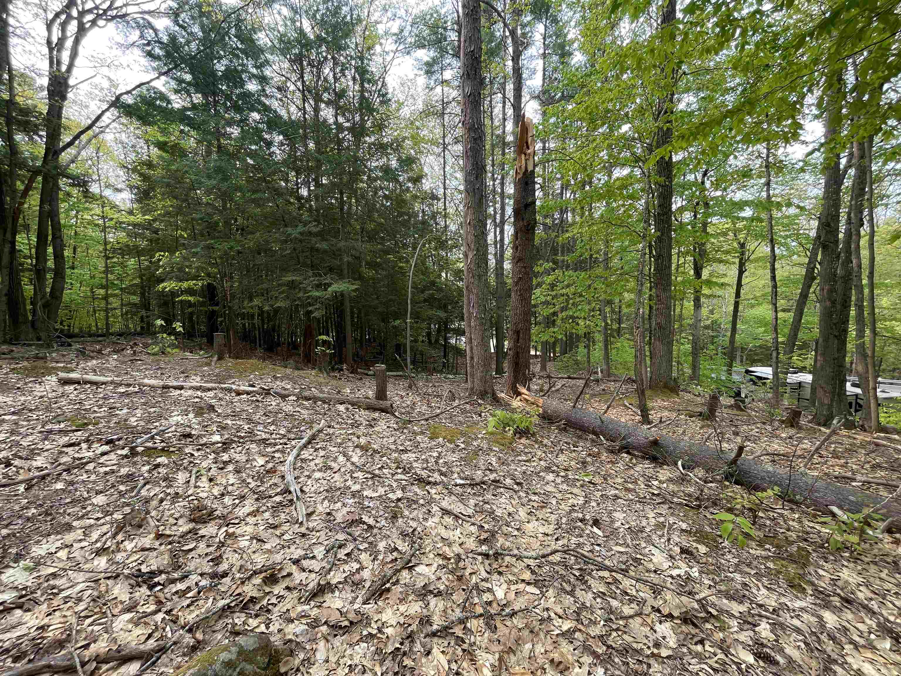 Durrell Mountain Rd, Belmont, NH 03220