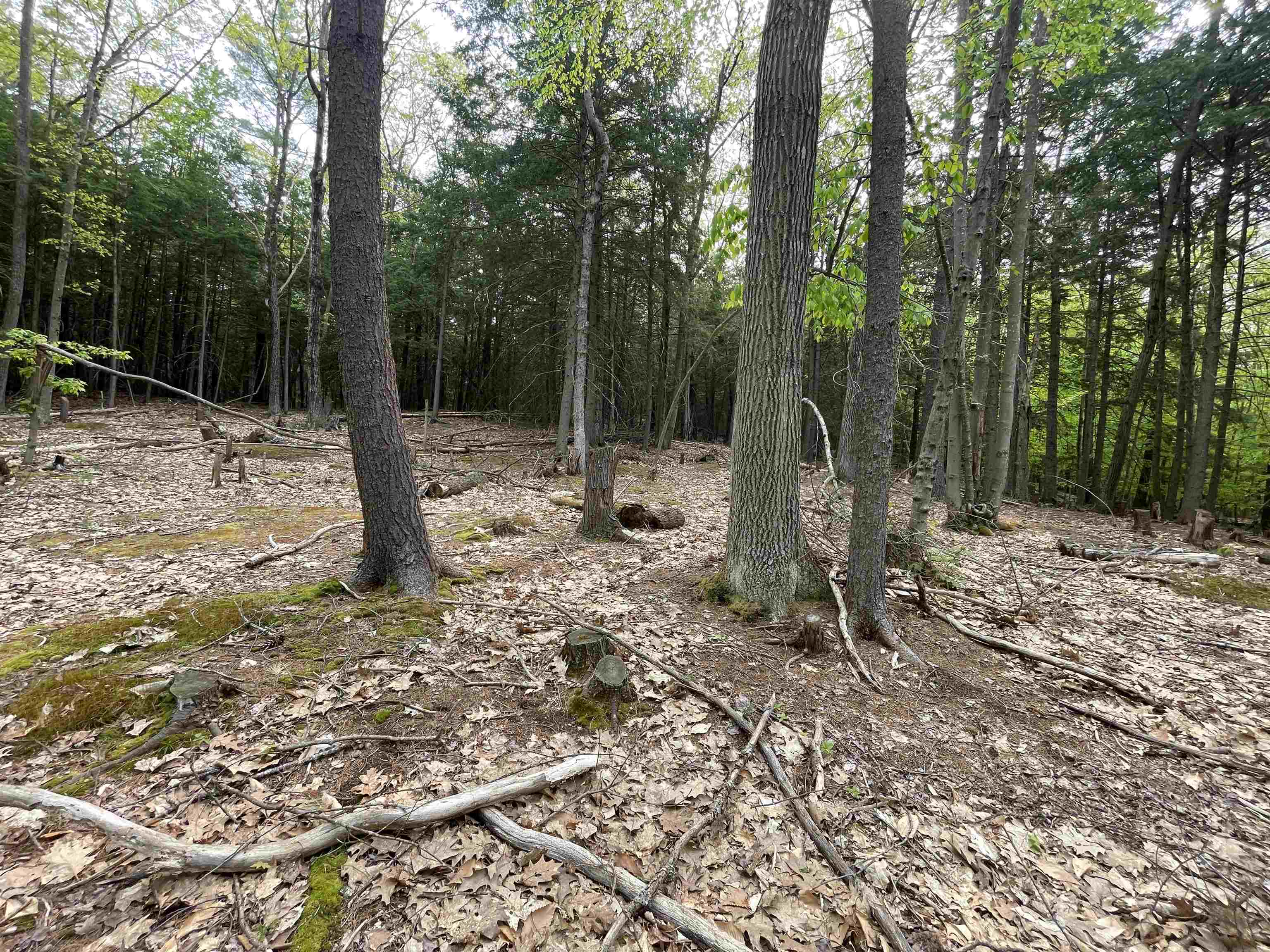 Durrell Mountain Rd, Belmont, NH 03220