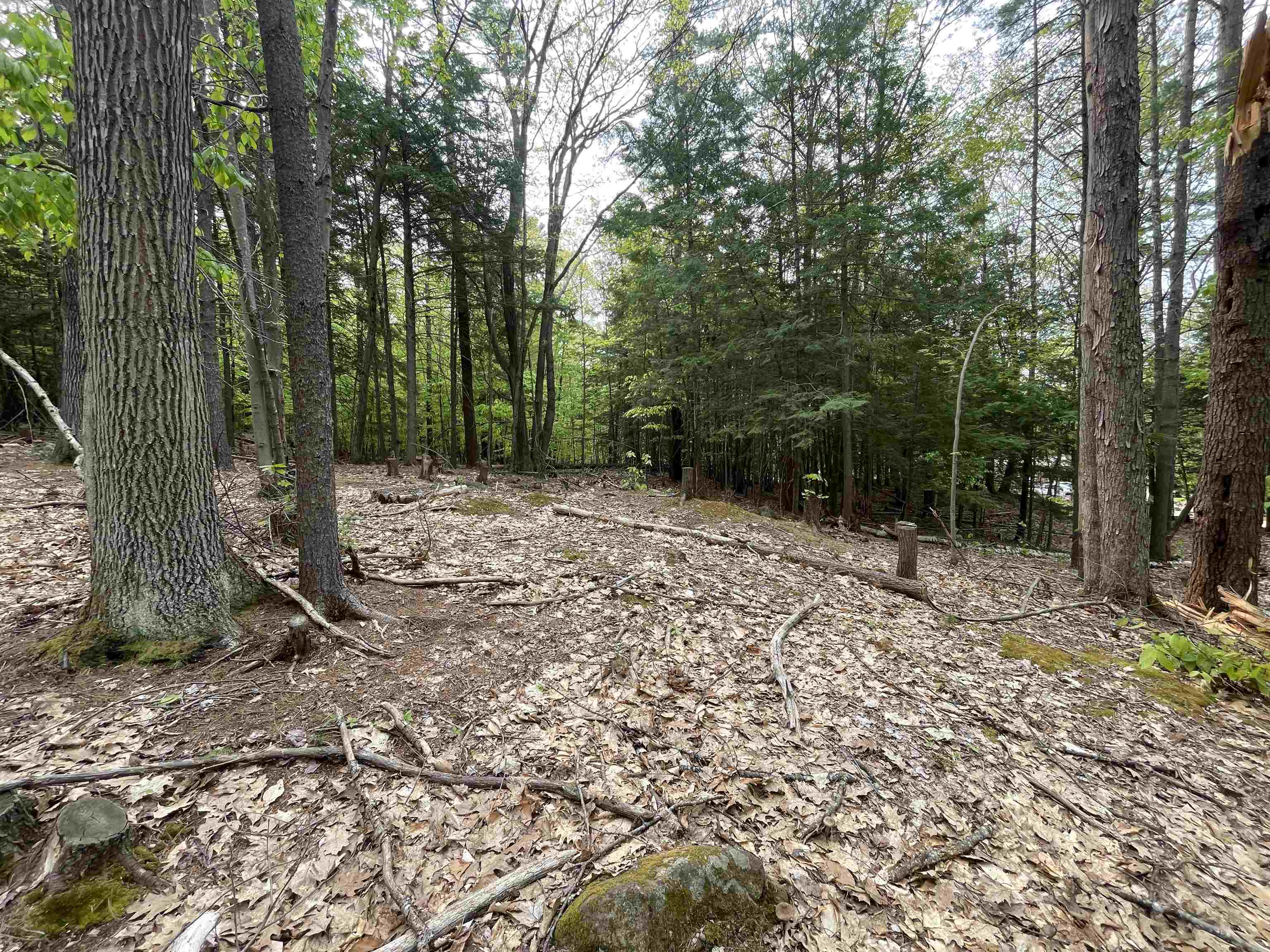 Durrell Mountain Rd, Belmont, NH 03220