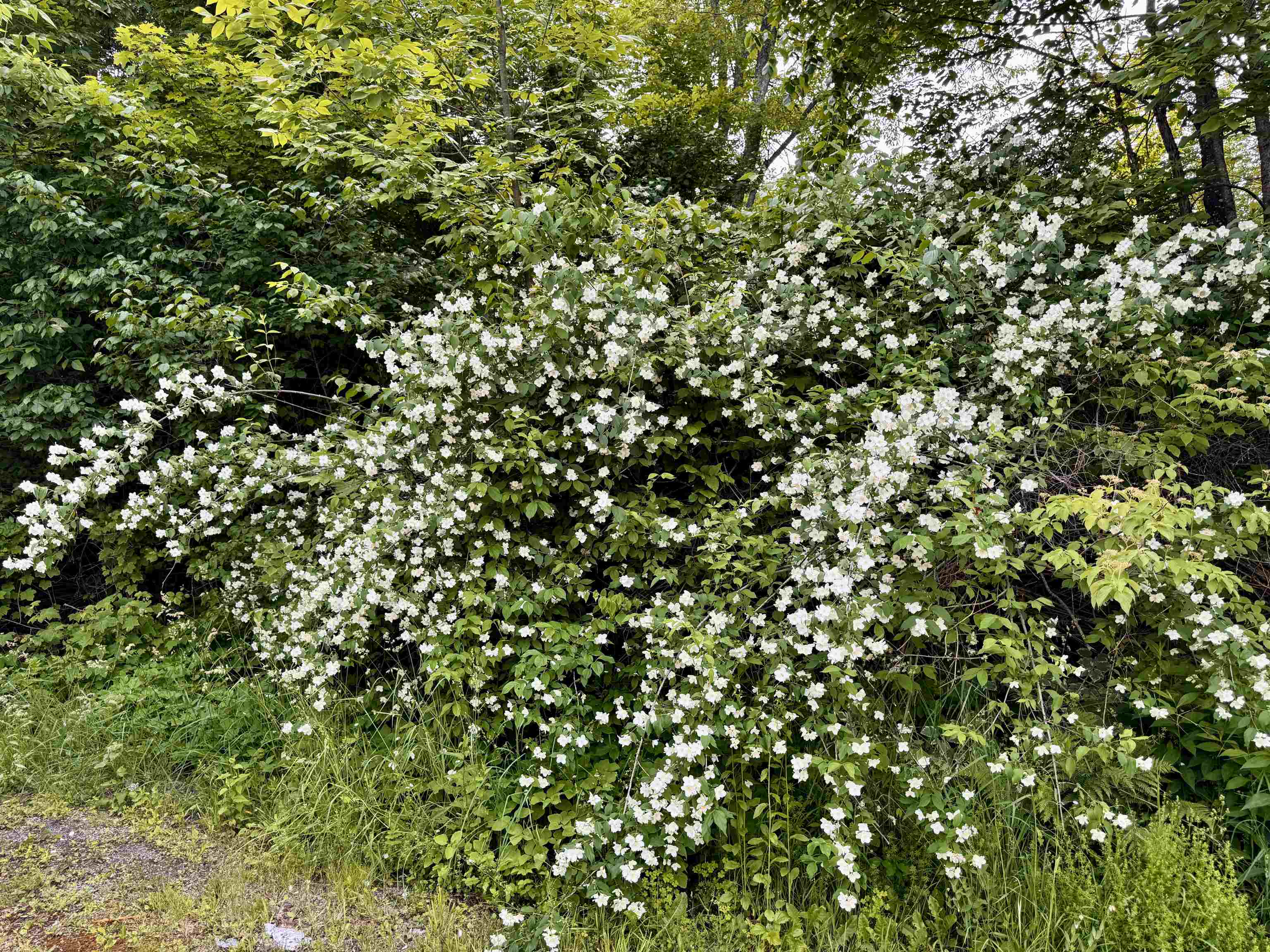 Property photo 53