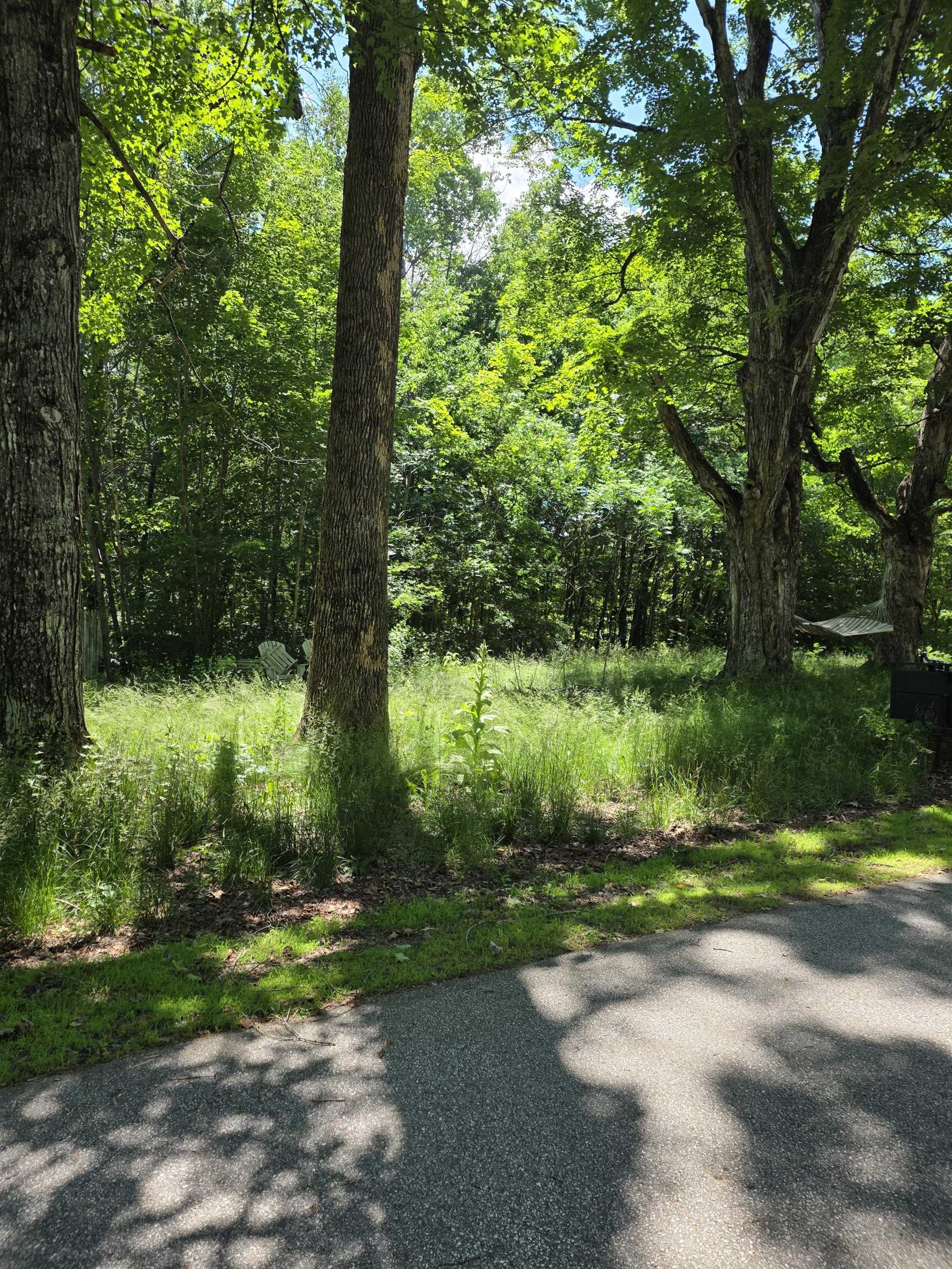 King Rd, Campton, NH 03223