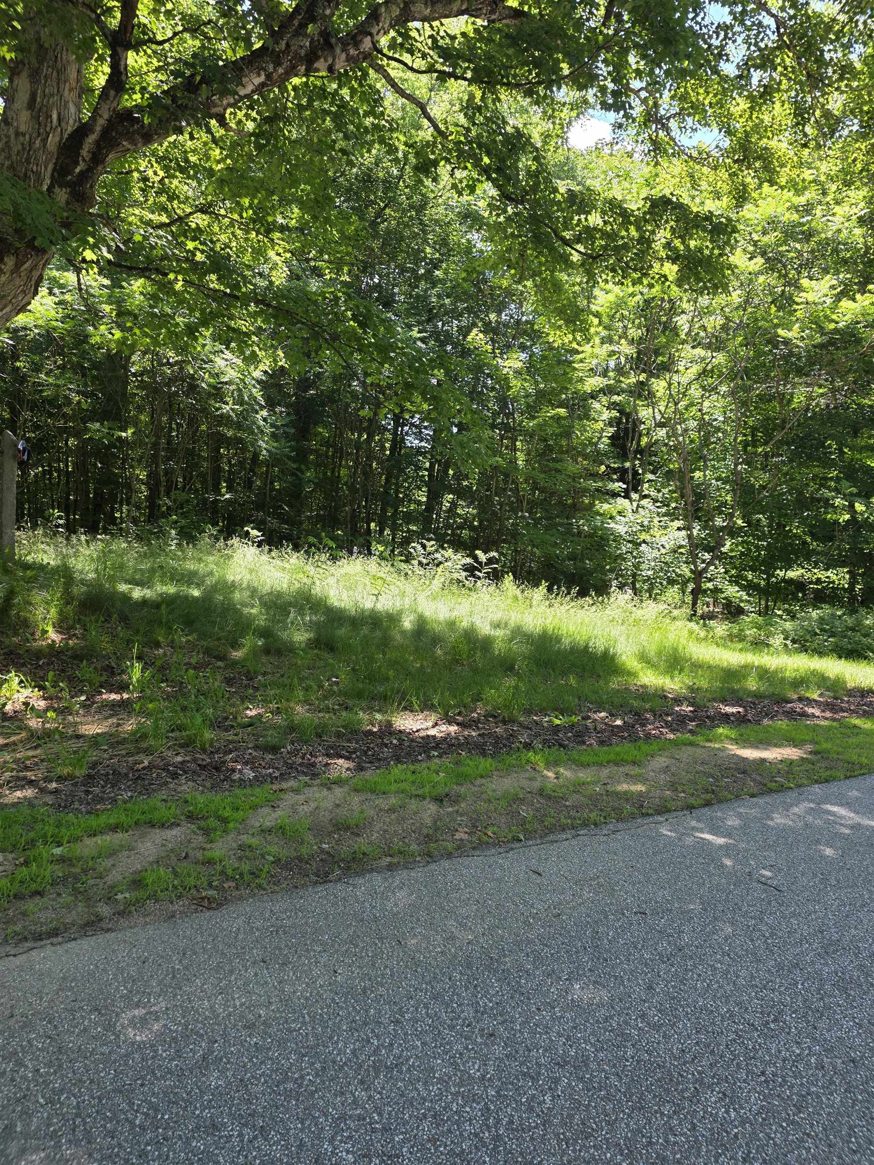 King Rd, Campton, NH 03223