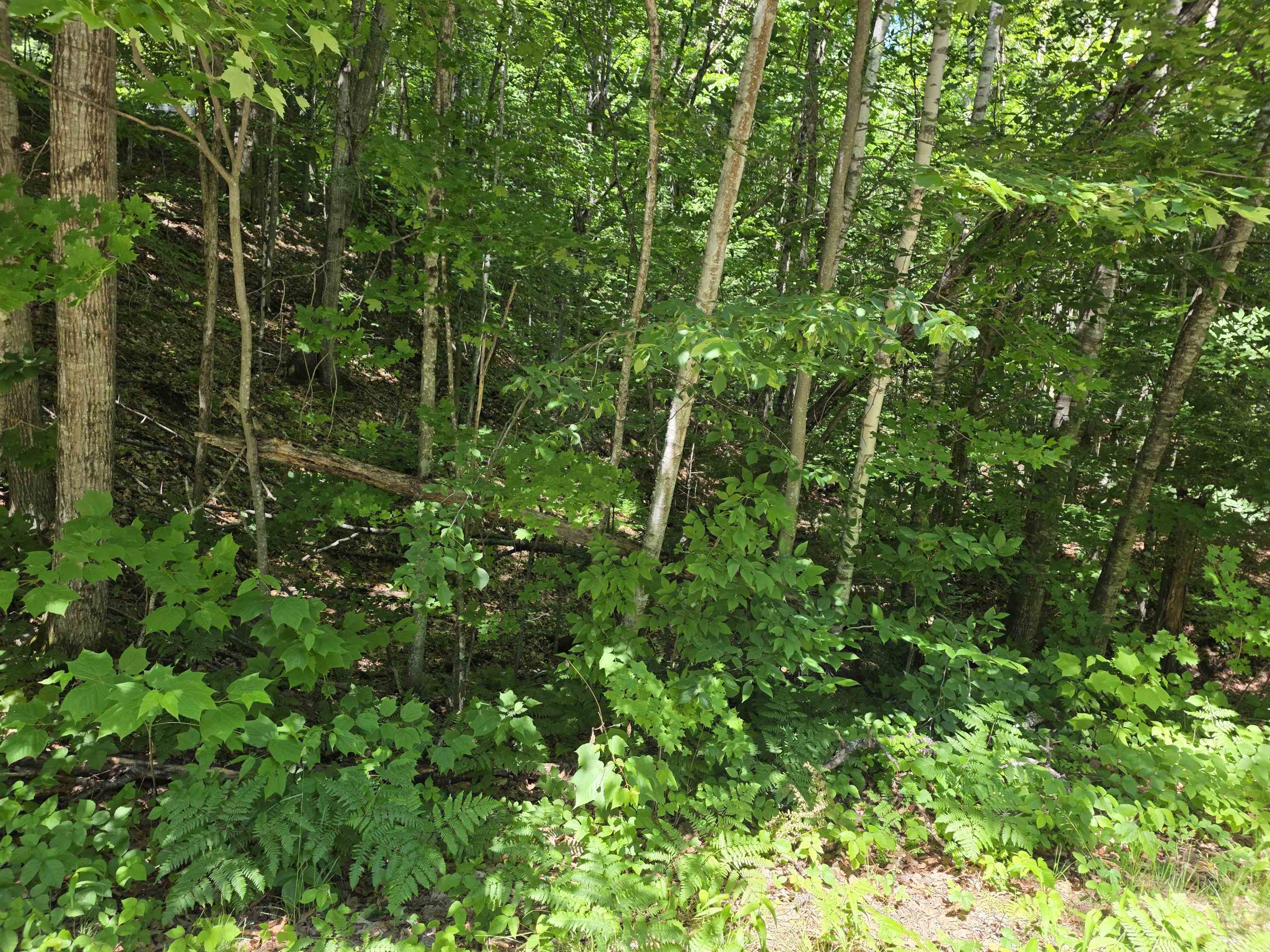 King Rd, Campton, NH 03223