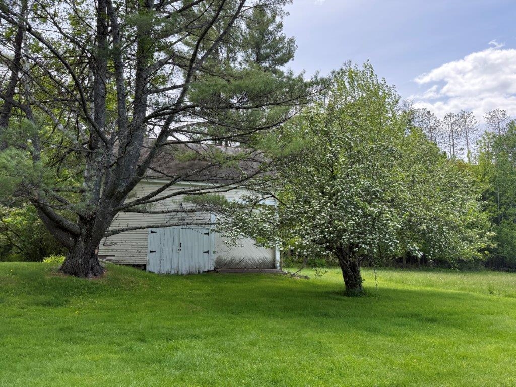 Flowering Spring Trees 25431527