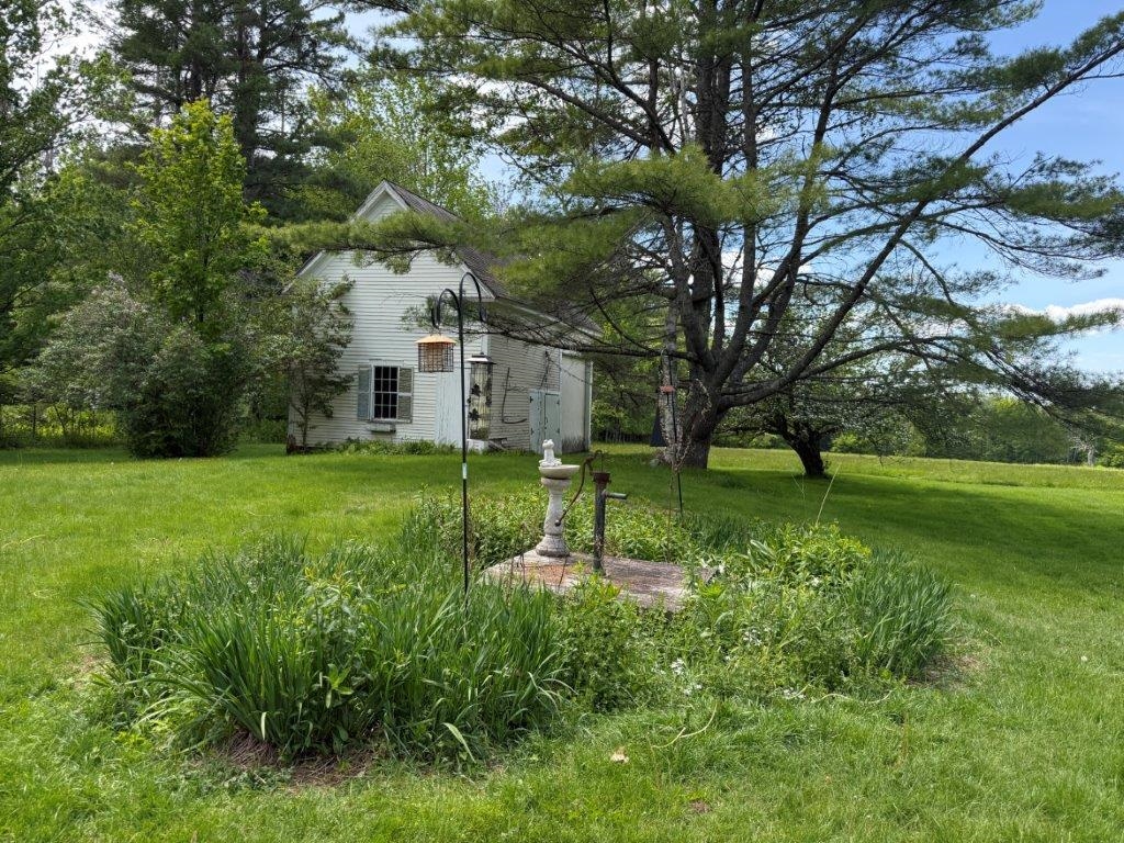 Iris Garden 25431529