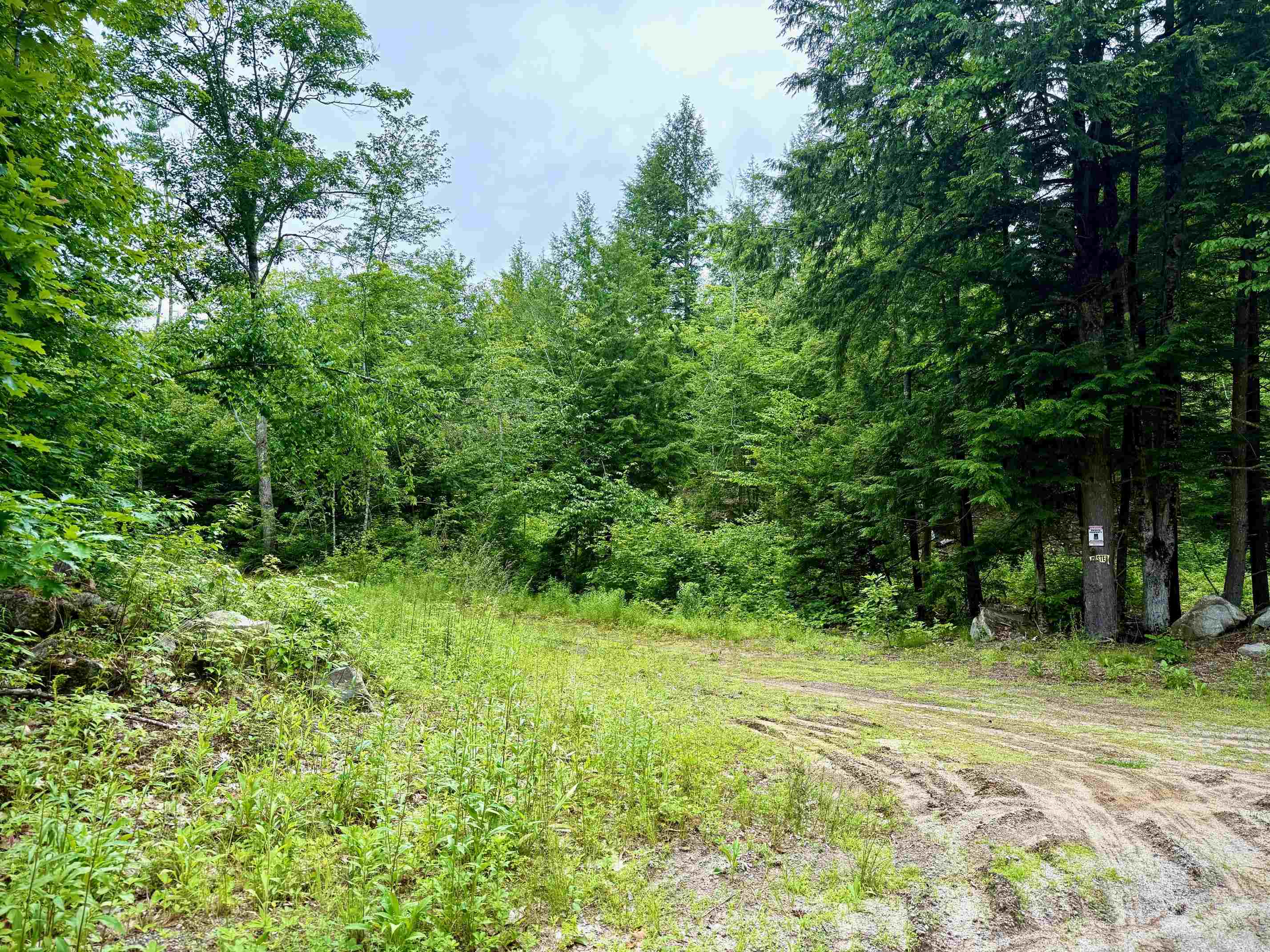 West Salisbury Rd, Salisbury, NH 03268