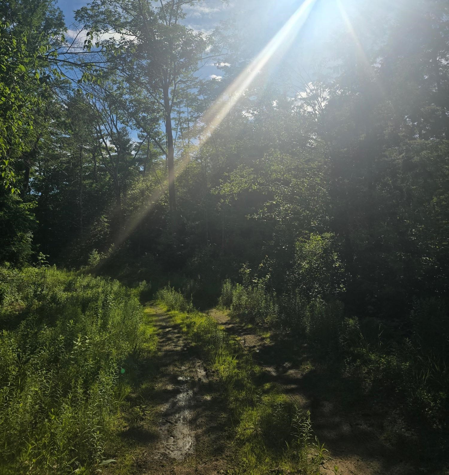 West Salisbury Rd, Salisbury, NH 03268
