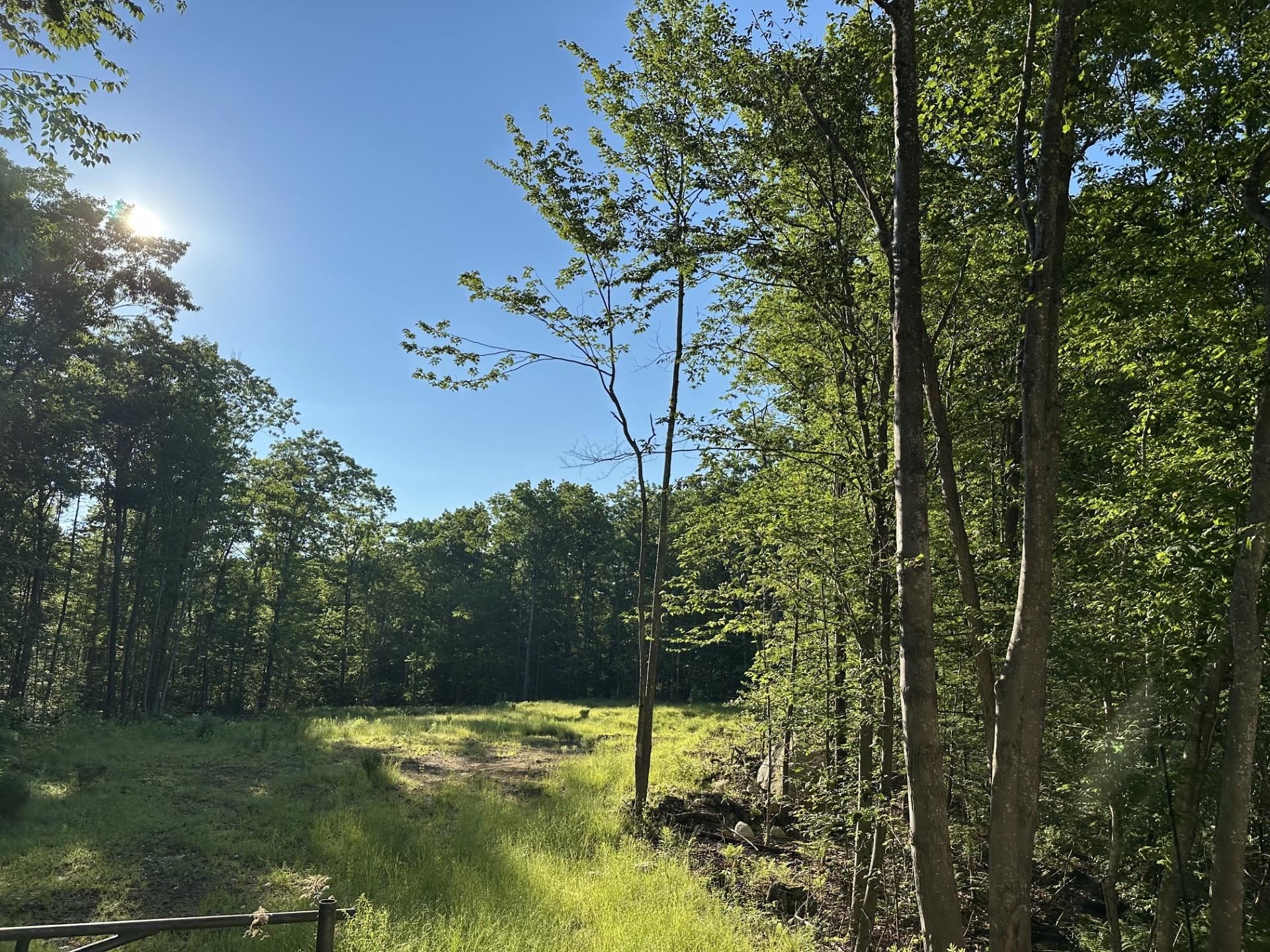00 Drake Hill Rd, Strafford, NH 03884