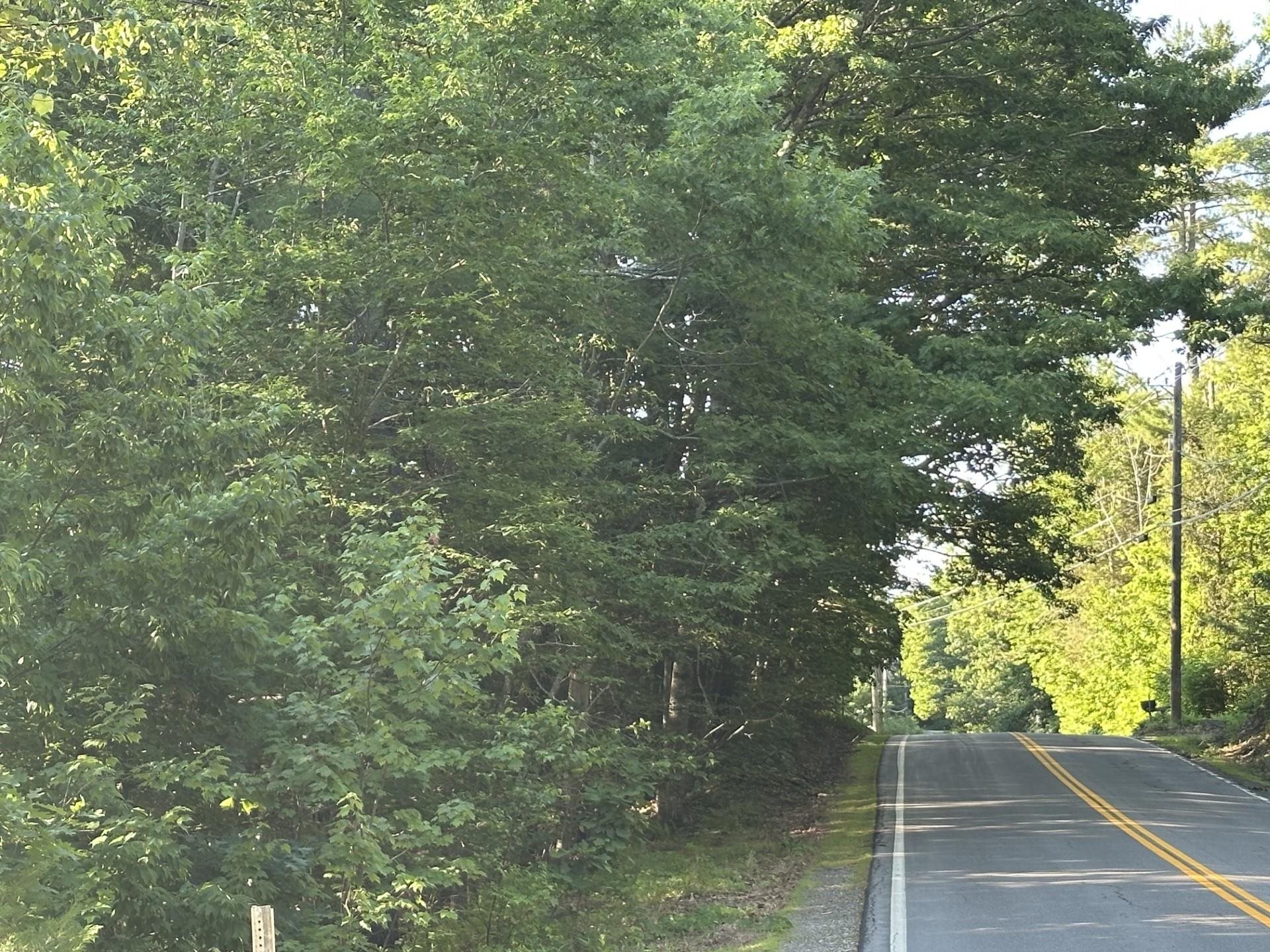 00 Drake Hill Rd, Strafford, NH 03884