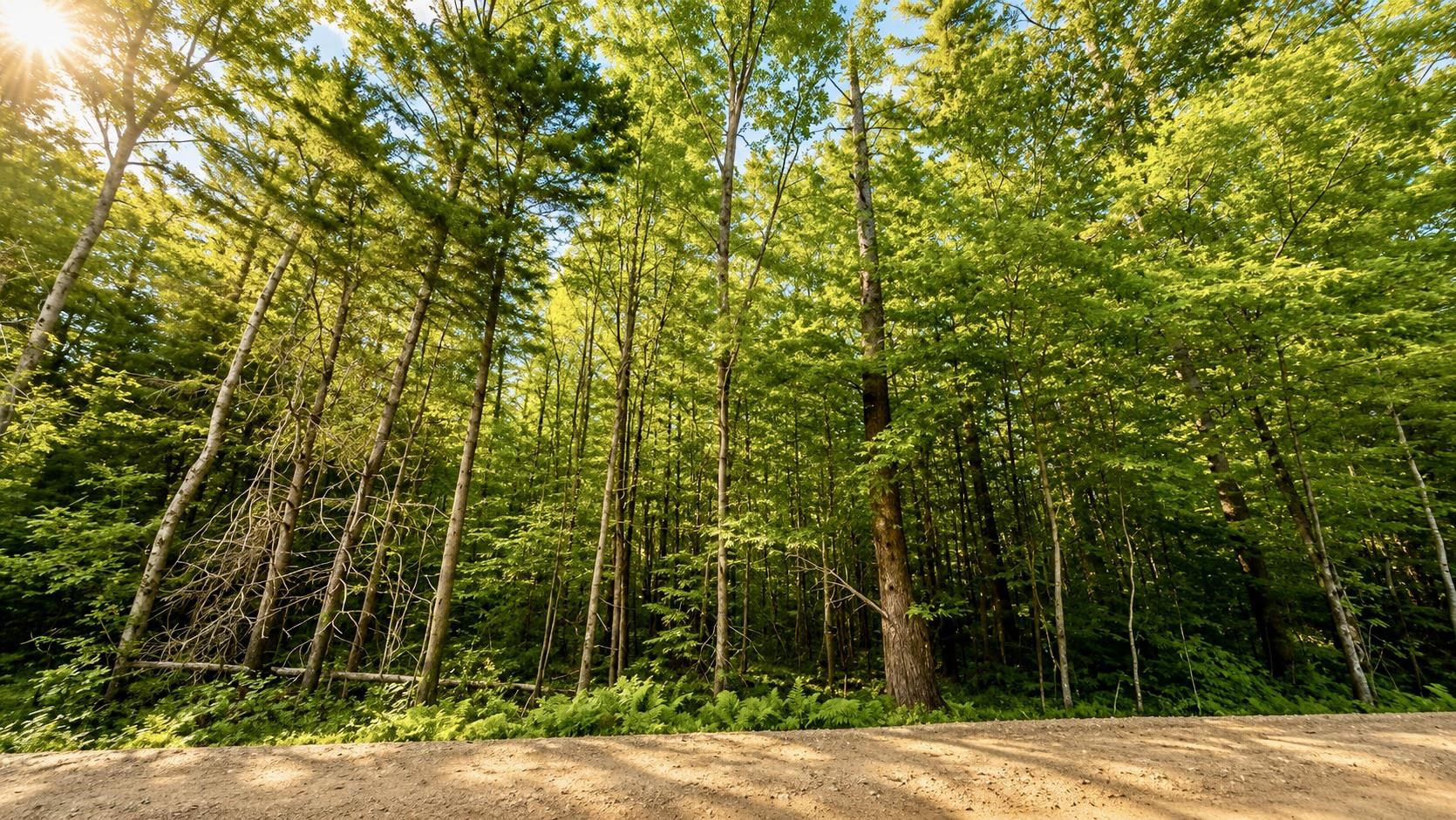 Lot 260-15 2nd Nh Turnpike, New Boston, NH 03070