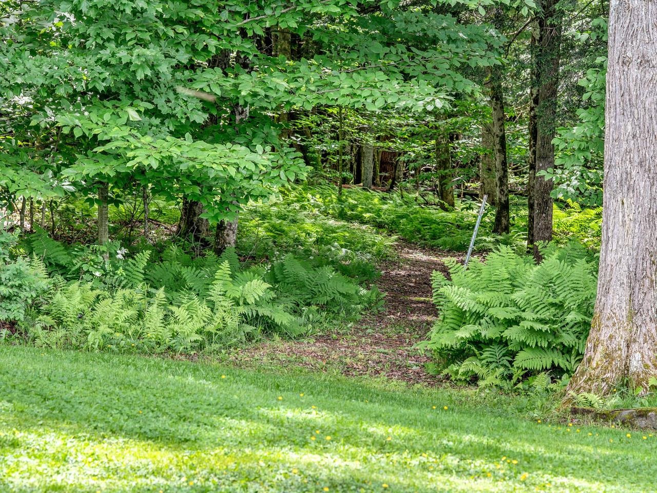Property photo 49