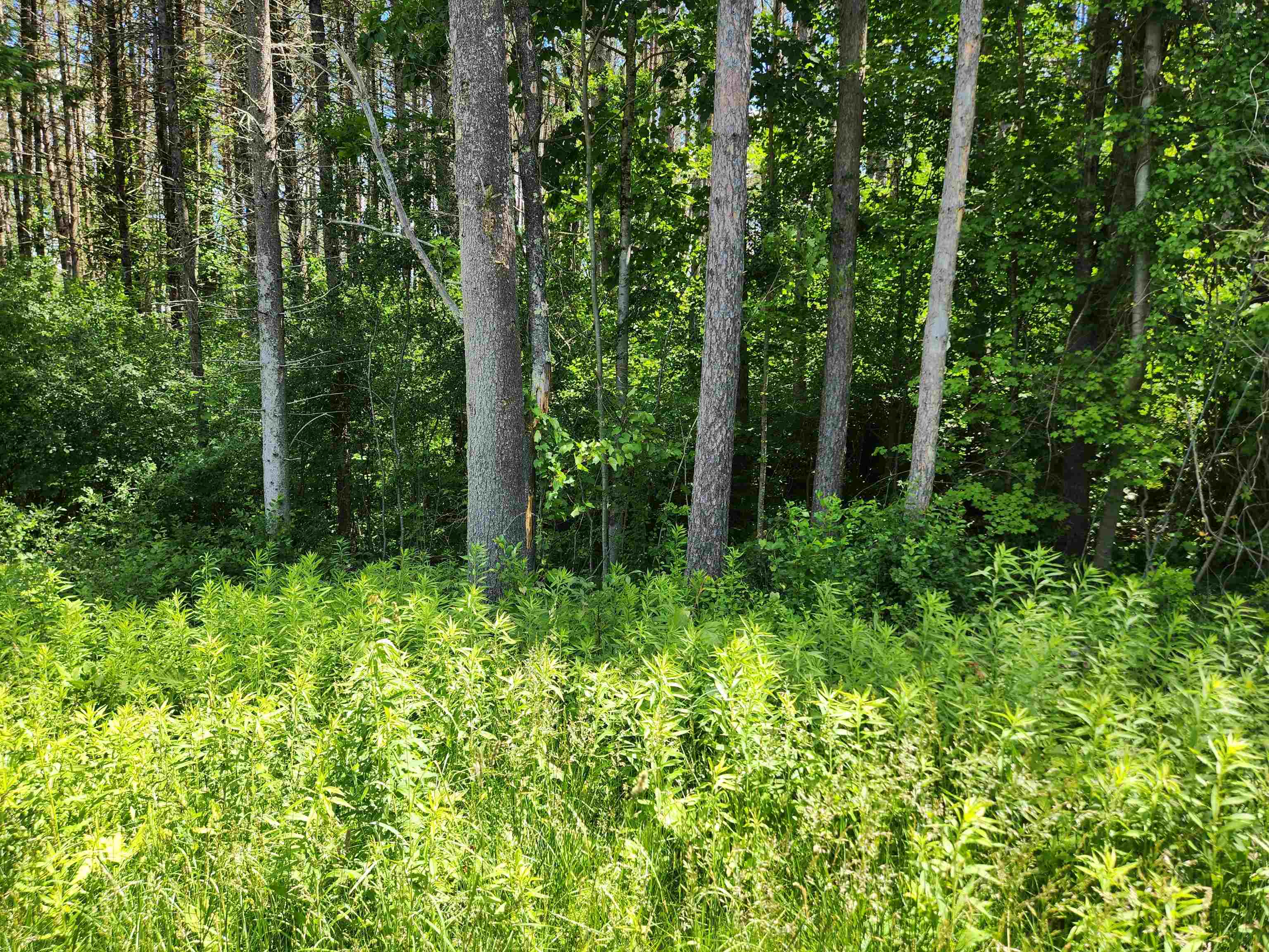 Stage Rd, Unity, NH 03743