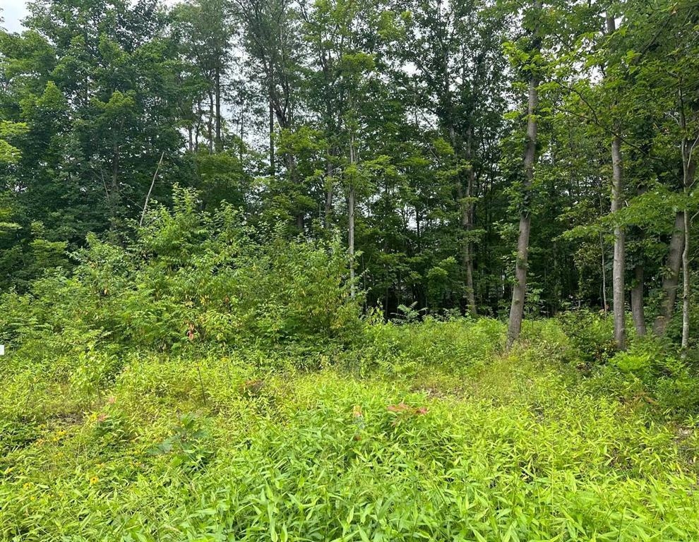 3 Profile Dr, Woodstock, NH 03262
