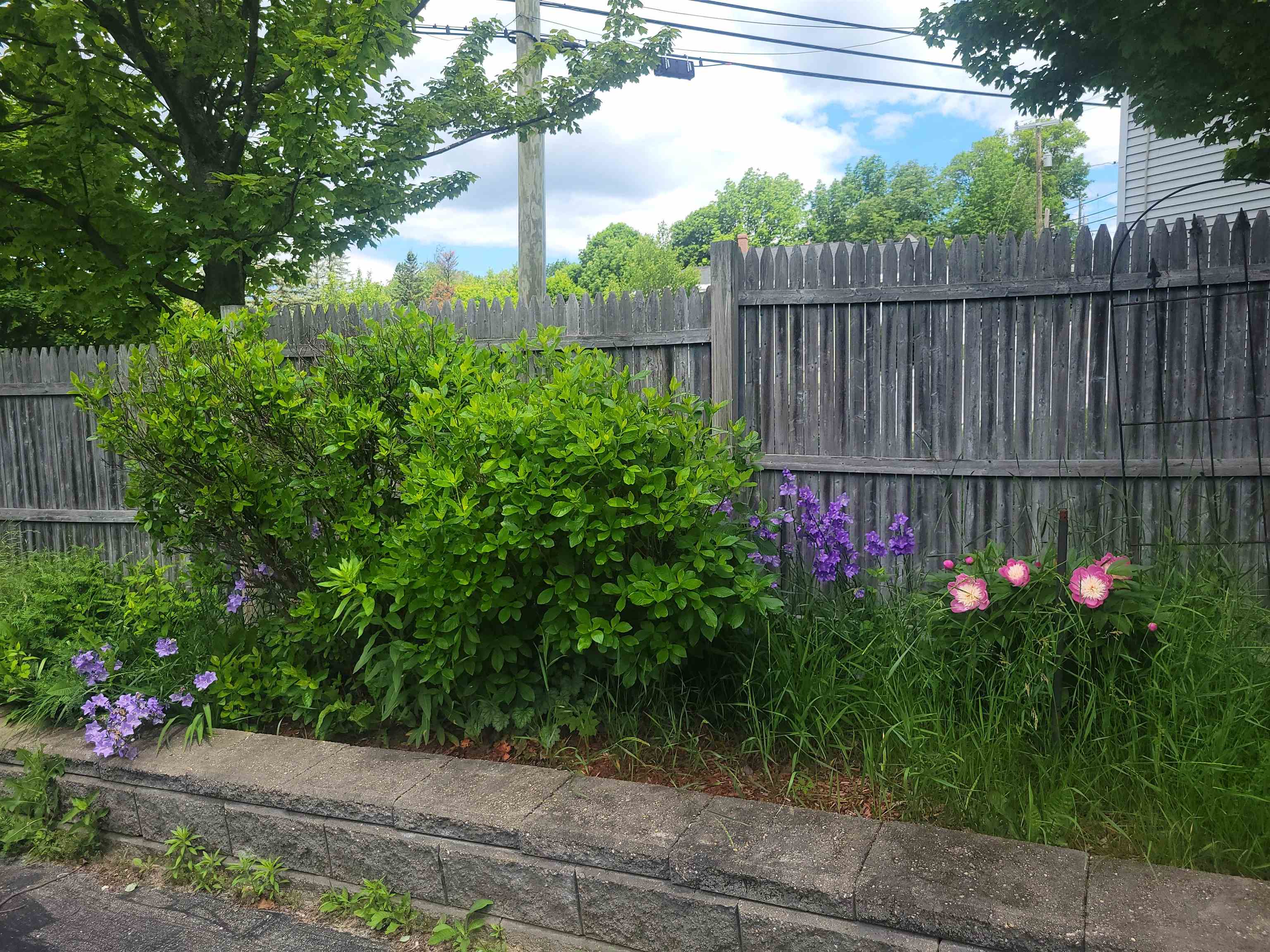 402 Hillside Ave, Berlin, NH 03570
