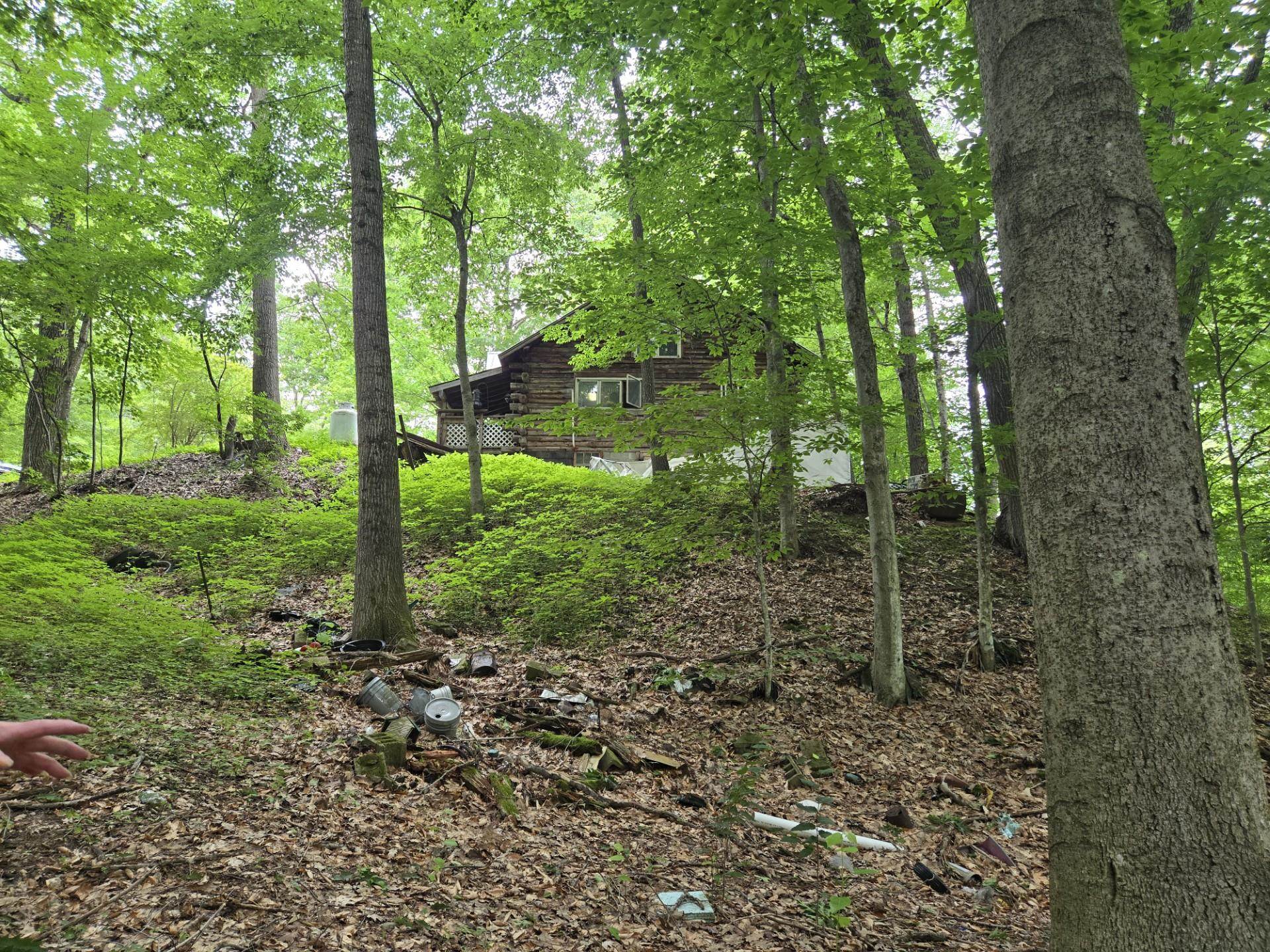 Looking up from access rd.