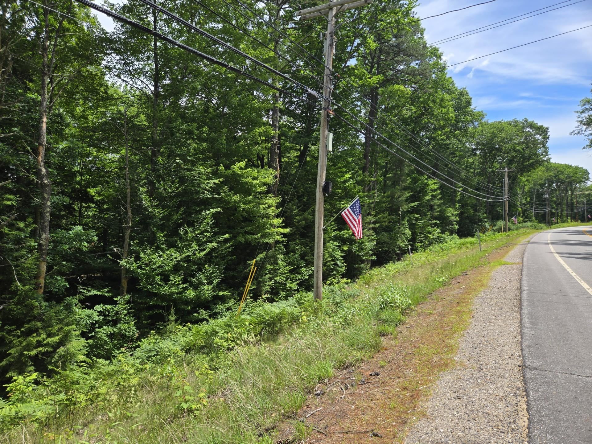 Road frontage looking south on Rte 3A