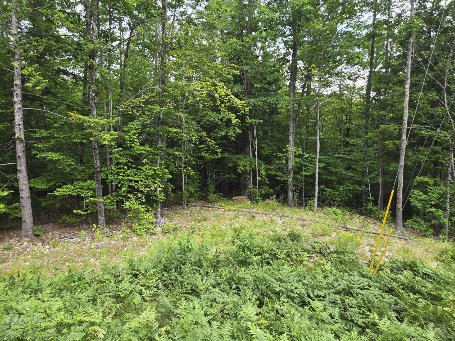 Road frontage
