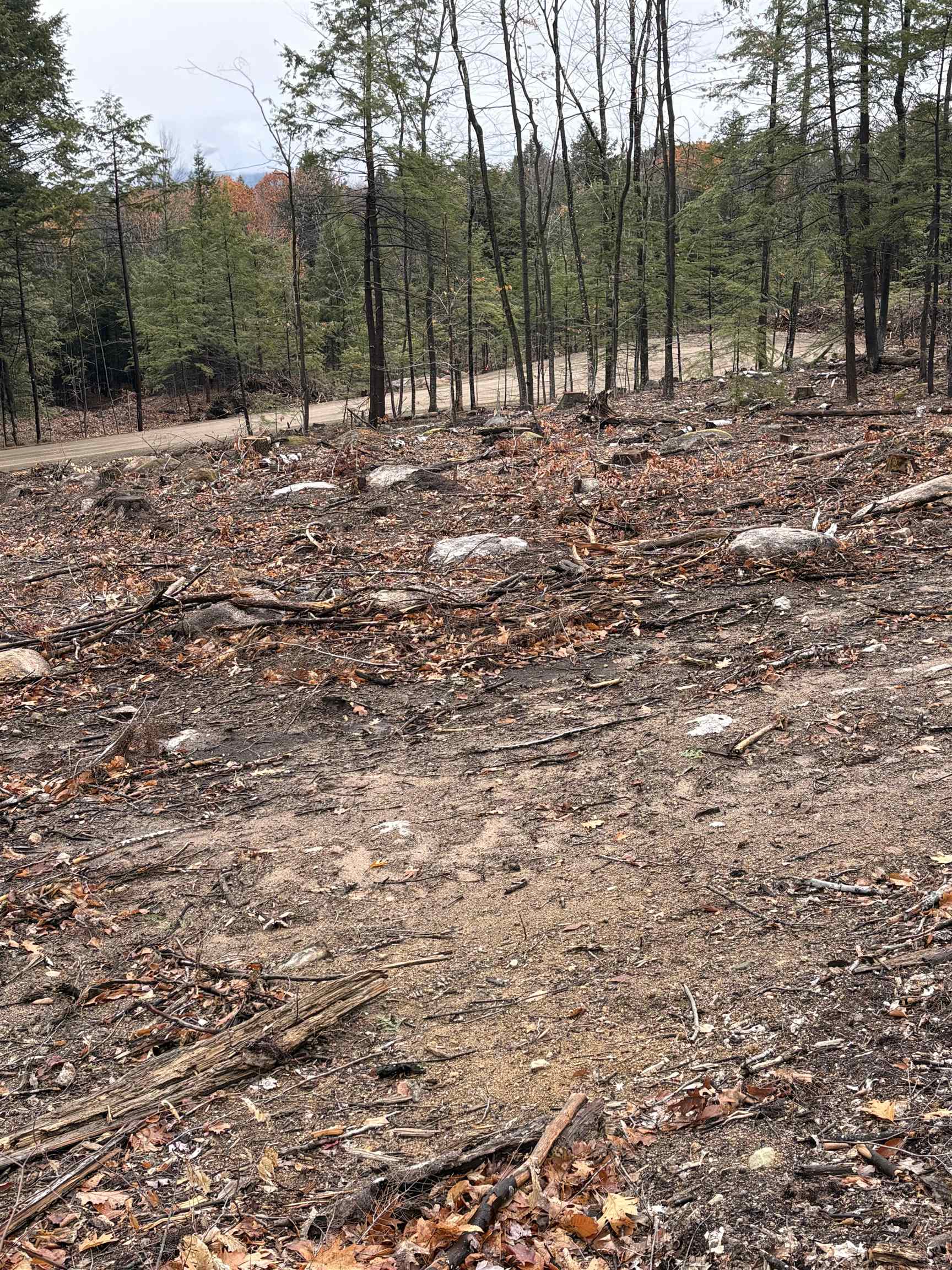 8 Sugarloaf Dr, Ossipee, NH 03814
